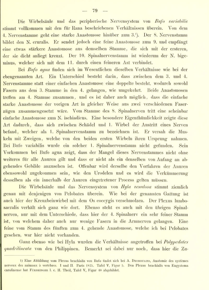 — 79 — Die Wirbelsäule und das peiiplierisclie Nervensystem von Dufo varialnlis stimmt vollkommen mit den für Raua beschriebenen Verhältnissen überein. Von dem 4. Nervenstamme geht eine starke Anastomose hinüber zum 3.'). Der 8, Nervenstamm bildet den N. cruralis. Er sendet jedoch eine feine Anastomose zum 9. und emptangt eine etwas stärkere Anastomose aus demselben Stamme, die sich mit der ersteren, der sie dicht anliegt kreuzt. Der 10. Spinalnervenstamm ist wiederum der N. bige- minus, welcher sich mit dem 11. durch einen feineren Ast verbindet. Bei Bufo agua finden sich im Wesentlichen dieselben Verhältnisse wie bei der ebengenannten Art. Ein Unterschied besteht darin, dass zwischen dem 3. und 4. Nervenstamme statt einer einfachen Anastomose eine doppelte besteht, wodurch sowohl Fasern aus dem 3. Stamme in den 4. gelangen, wie umgekehrt. Beide Anastomosen treffen am 4. Stamme zusammen, und es ist daher auch möglich, dass die einfache starke Anastomose der vorigen Art in gleicher Weise aus zwei verschiedenen Faser- zügen zusammengesetzt wäre. Vom Stamme des 8. Spinalnerven tritt eine scheinbar einfache Anastomose zum N. ischiadicus. Eine besondere Eigenthümlichkeit zeigte diese Art dadurch, dass sich zwischen Schädel und 1. Wirbel der Austritt eines Nerven befand, welcher als 1. Spinalnervenstamm zu bezeichnen ist. Er versah die Mus- keln mit Zweigen, welche von den beiden ersten Wirbeln ihren Ursprung nahmen. Bei Bufo variabilis wurde ein solcher 1. Spinalnervenstamm nicht gefunden. Sein Vorkommen bei Bufo agua zeigt, dass der Mangel dieses Nervenstammes nicht ohne weiteres für alle Anuren gilt und dass er nicht als ein denselben von Anfang an ab- gehendes Gebilde anzusehen ist. Offenbar wird derselbe den Vorfahren der Anuren ebensowohl zugekommen sein, wie den Urodelen und es wird die Verkümmerung desselben als ein innerhalb der Anuren eingetretener Process gelten müssen. Die Wirbelsäule und das Nervensystem von Ihßa vewilosa stimmt ziemlich genau mit denjenigen von Pelobates überein. Wie bei der genannten Gattung ist auch hier der Kreuzbeinwirbel mit dem Os coccygis verschmolzen. Der Plexus lumbo- sacralis verhält sich ganz wie dort. Ebenso steht es auch mit den übrigen Spinal- nerven, nur mit dem Unterschiede, dass hier der 4. Spinalnerv ein sehr feiner Stamm ist, von welchem daher auch nur wenige Fasern in die Armnerven gelangen. Eine feine vom Stamm des fünften zum 4. gehende Anastomose, welche ich bei Pelobates gesehen, war hier nicht vorhanden. Ganz ebenso wie bei Hyla wurden die Verhältnisse angetroffen bei Polypedates ([uadrüineata von den Philippinen. Bemerkt sei dabei nur noch, dass hier die Zu- l) Eine Abbildung vom Plexus brachialis von Bufo findet sich bei A. Desmoulins, Anatomie des systemes nerveux des animaux ä vertebres. I und II. Paris 1825. Tafel V, Figur 5. Den Plexus brachialis von Engystoma