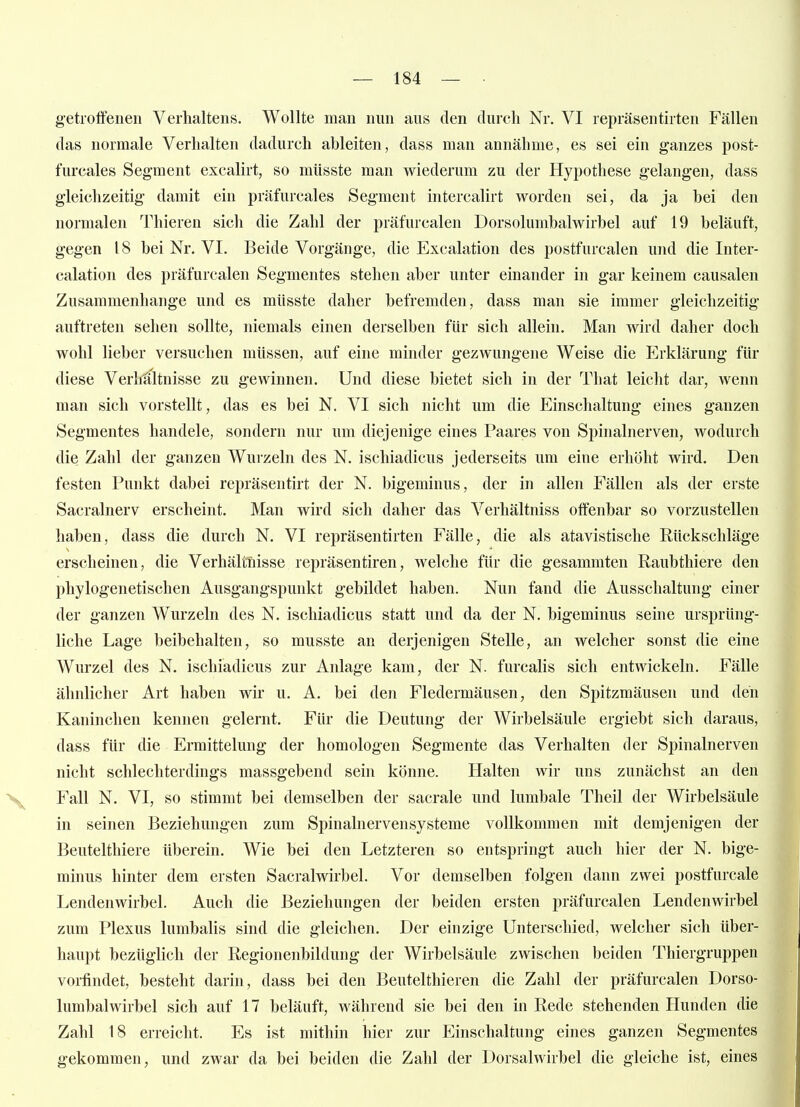 g-etrolfenen Verhaltens. Wollte man nun aus den durch Nr. VI repräsentirten Fällen das normale Verhalten dadurch ableiten, dass man annähme, es sei ein ganzes post- furcales Segment excalirt, so müsste man wiederum zu der Hypothese gelangen, dass gleichzeitig damit ein präfurcales Segment intercalirt worden sei, da ja hei den normalen Thieren sich die Zahl der präfurcalen Dorsolumhalwirbel auf 19 beläuft, gegen 18 bei Nr. VI. Beide Vorgänge, die Excalation des postfurcalen und die Inter- calation des präfurcalen Segmentes stehen aber unter einander in gar keinem causalen Zusammenhange und es müsste daher befremden, dass man sie immer gleichzeitig auftreten sehen sollte, niemals einen derselben für sich allein. Man wird daher doch wohl lieber versuchen müssen, auf eine minder gezwungene Weise die Erklärung für diese Verhältnisse zu gewinnen. Und diese bietet sich in der That leicht dar, wenn man sich vorstellt, das es bei N. VI sich nicht um die Einschaltung eines ganzen Segmentes handele, sondern nur um diejenige eines Paares von Spinalnerven, wodurch die Zahl der ganzen Wurzeln des N. ischiadicus jederseits um eine erhöht wird. Den festen Punkt dabei repräsentirt der N. bigeminus, der in allen Fällen als der erste Sacralnerv erscheint. Man wird sich daher das Verliältniss offenbar so vorzustellen haben, dass die durch N. VI repräsentirten Fälle, die als atavistische Rückschläge erscheinen, die VerhältTiisse repräsentiren, welche für die gesammten Raubthiere den phylogenetischen Ausgangspunkt gebildet haben. Nun fand die Ausschaltung einer der ganzen Wurzeln des N. ischiadicus statt und da der N. bigeminus seine ursprüng- liche Lage beibehalten, so musste an derjenigen Stelle, an welcher sonst die eine Wurzel des N. ischiadicus zur Anlage kam, der N. furcalis sich entwickeln. Fälle ähnlicher Art haben wir u. A. bei den Fledermäusen, den Spitzmäusen und den Kaninchen kennen gelernt. Für die Deutung der Wirbelsäule ergiebt sich daraus, dass für die Ermittelung der homologen Segmente das Verhalten der Spinalnerven nicht schlechterdings massgebend sein könne. Halten wir uns zunächst an den Fall N. VI, so stimmt bei demselben der sacrale und lumbale Theil der Wirbelsäule in seinen Beziehungen zum Spinalnervensysteme vollkommen mit demjenigen der Beutelthiere überein. Wie bei den Letzteren so entspringt auch hier der N. bige- minus hinter dem ersten Sacralwirbel. Vor demselben folgen dann zwei postfurcale Lendenwirbel. Auch die Beziehungen der beiden ersten präfurcalen Lendenwirbel zum Plexus lumbalis sind die gleichen. Der einzige Unterschied, welcher sich über- haupt bezüglich der Regionenbildung der Wirbelsäule zwischen beiden Thiergruppen vorfindet, besteht darin, dass bei den Beutelthieren die Zahl der präfurcalen Dorso- lumhalwirbel sich auf 17 beläuft, während sie bei den in Rede stehenden Hunden die Zahl 18 erreicht. Es ist mithin hier zur Einschaltung eines ganzen Segmentes gekommen, und zwar da bei beiden die Zahl der Dorsalwirbel die gleiche ist, eines