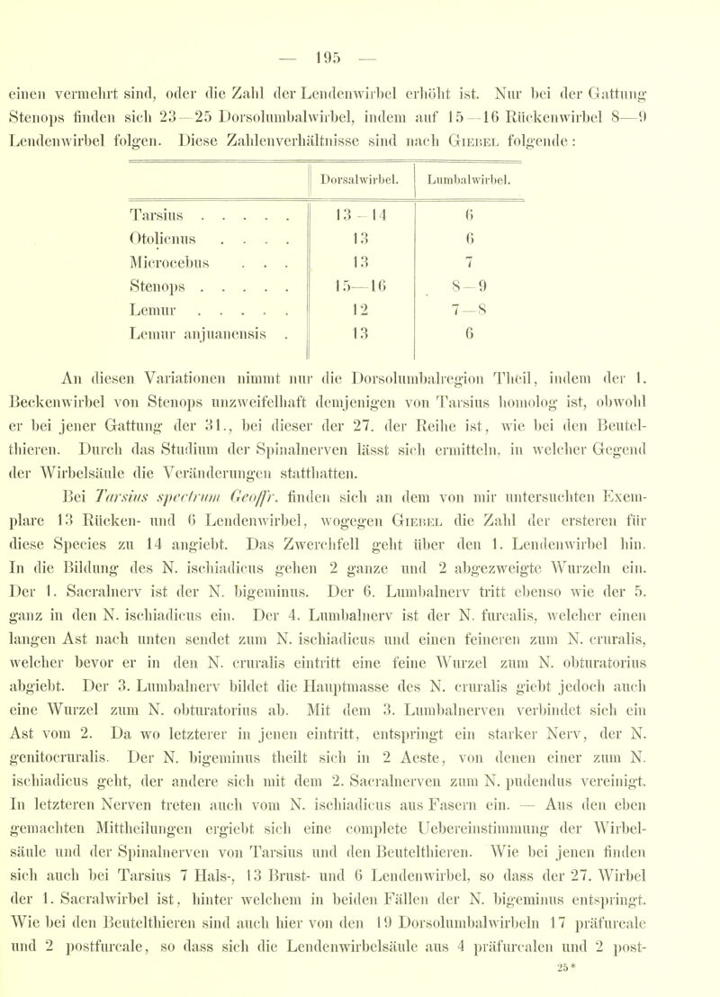 einen vermehrt sind, oder die Zalil der Lendenwirbel erhöht ist. Nnr hei der Gattung- Stenops finden sich 23 - 25 Dorsokimbalwirhel, indem auf 15 -16 Rückenwirbel 8—9 Lendenwirbel folgen. Diese Zahlenverhältnisse sind nach Giehel folgende: Dorsalwirbel. Lumbalwirbel. ■ Tarsius 13 - 14 B Otolicnus .... 13 6 Microcebus . . . 13 7 15—1(3 8-9 12 7-8 Lemur aiijuanensis . 13 6 An diesen Variationen nimmt nur die Dorsolumbalregion Thcil, indem der 1. Beckenwirbel von Stenops unzweifclliaft demjenigen von Tarsius homolog ist, obwohl er bei jener Gattung der 31., bei dieser der 27. der Reihe ist, wie bei den Beutel- thieren. Durch das Studium dei Spinalnerven lässt sich ermitteln, in welcher Gegend der Wirbelsäule die Veränderungen statthatten. Bei Tarwis spcrlnitn Geojfr. finden sich an dem von mir untersuchten Exem- plare 13 Rücken- und G LendeiiAvirbel, wogegen Giei?el die Zahl der ersteren für diese Speeles zu 14 angiebt. Das Zwerchfell geht über den 1. Lendenwirbel hin. In die Bildung des N. ischiadicus gehen 2 ganze und 2 a1)gezweigte Wurzeln ein. Der 1. Sacralnerv ist der N. bigeminus. Der 6. Lumbainerv tritt ebenso wie der 5. ganz in den N. ischiadicus ein. Der 4. Lumbainerv ist der N. furcalis, welcher einen langen Ast nach unten sendet zum N. ischiadicus und einen feineren zum N. cruralis, welcher bevor er in den N. cruralis eintritt eine feine Wurzel zum N. obturatorius abgiebt. Der 3. Lumbainerv bildet die Hauptmasse des N. cruralis giebt jedoch auch eine Wurzel zum N. obturatorius ab. Mit dem 3. Lumbalnerven verbindet sich ein Ast vom 2. Da wo letzterer in jenen eintritt, entspringt ein starker Nerv, der N. genitocruralis. Der N. bigeminus tlieilt sich in 2 Aeste, von denen einer zum N. ischiadicus geht, der andere sich mit dem 2. Sacralnerven zum N. pudendus vereinigt. Li letzteren Nerven treten auch vom N. ischiadicus aus Fasern ein. — Aus den eben gemachten Mittheilungen ergiebt sich eine complete Uebereinstimmung der Wirbel- säule und der Spinalnerven von Tarsius und den Beutelthieren. Wie bei jenen finden sich auch bei Tarsius 7 Hals-, 13 Brust- und 6 Lendenwirbel, so dass der 27. Wirbel der L Sacralwirbel ist, hinter welchem in beiden Fällen der N. bigeminus entspringt. Wie bei den Beutelthieren sind auch hier von den 19 Dorsolumbalwirbeln 17 präfurcalc und 2 postfurcale, so dass sich die Lendenwirbelsäule aus 4 präfurcalen und 2 post- 25*