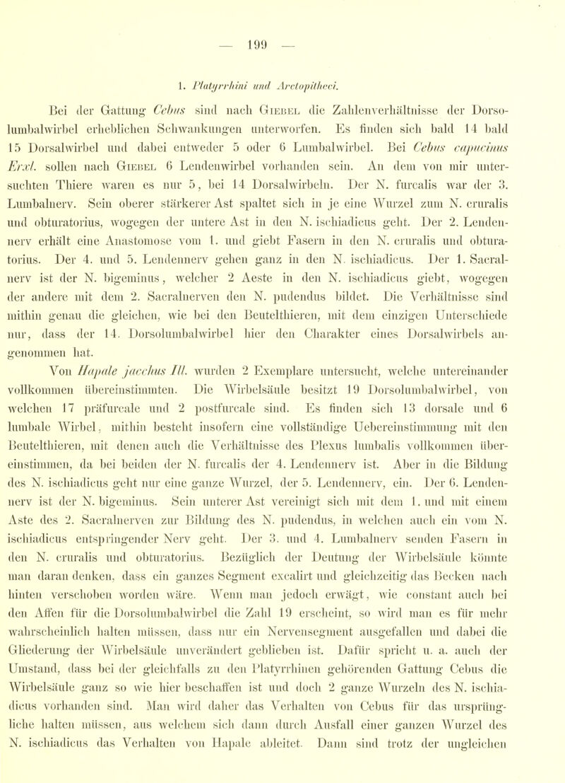 1. Flatijrrlnni und Arctopitheci. Bei (1er Gattung Cehiis sind nach Giebel die Zalilenverliältnisse der Dorso- lumbalwirbel erheblichen Schwanknng-en unterworfen. Es finden sich bald 14 bald 15 Dorsalwirbel und dabei entweder 5 oder 6 Lumbalwirbel. Bei Cebm capucimis Erxl. sollen nach Giebel 6 Lendenwirbel vorhanden sein. An dem von mir unter- suchten Thiere waren es nur 5, bei 14 Dorsalwirbeln. Der N. furcalis war der 3. Lumbainerv. Sein oberer stärkerer Ast spaltet sich in je eine Wurzel zum N. cruralis und obturatorius, wogegen der untere Ast in den N. ischiadicus geht. Der 2. Lendeii- nerv erhält eine Anastomose vom 1. und giebt Fasern in den N. cruralis und obtura- torius. Der 4. und 5. Lendennerv gehen ganz in den N. ischiadicus. Der 1. Sacral- nerv ist der N. bigeminus, welcher 2 Aeste in den N. ischiadicus giebt, wogegen der andere mit dem 2. Sacralnerven den N. pudendus bildet. Die Verhältnisse sind mithin genau die gleichen, wie bei den Beutelthieren, mit dem einzigen Uiiterscliiede nur, dass der 14. Dorsolumbahvirbel hier den Charakter eines Dorsalwirbels an- genommen hat. Von Hapale jacclms III. wurden 2 Exemplare untersucht, welche untereinander vollkommen übereinstimmten. Die Wirbelsäule besitzt 19 Dorsoluml)alwirl)el, von welchen 17 präfurcale und 2 postfurcale sind. Es finden sich 13 dorsale und 6 lumbale Wirbel, mithin besteht insofern eine vollständige Uebereinstimmung mit den Beuteltliieren, mit denen auch die Verhältnisse des Plexus lumbalis vollkommen über- einstimmen, da bei beiden der N. furcalis der 4. Lendennerv ist. Aber in die Bildung des N. ischiadicus geht nur eine ganze Wurzel, der 5. Lendennerv, ein. Der G. Lenden- nerv ist der N. bigeminus. Sein unterer Ast vereinigt sich mit dem l.uiid mit einem Aste des 2. Sacralnerven zur Bildung des N. pudendus, in welchen auch ein vom N. ischiadicus entspringender Nerv geht. Der 3. und 4. Lumbainerv senden Fasern in den N. cruralis und obturatorius. Bezüglich der Deutung der Wirbelsäule könnte man daran denken, dass ein ganzes Segment excalirt und gleichzeitig das Becken nach hinten verschoben worden wäre. Wenn man jedoch erwägt, wie constant auch bei den Alfen für die Dorsolumbahvirbel die Zahl 19 ersclieint, so wird man es für mehr wahrscheinlich halten müssen, dass nur ein Nervensegment ausgefallen und dabei die Gliederung der Wirbelsäule unverändert geblieben ist. Dafür spricht u. a. auch der Umstand, dass bei der gleichfalls zu den Platyrrhinen gehörenden Gattung Cebus die Wirbelsäule ganz so wie hier beschaffen ist und doch 2 ganze Wurzeln des N. ischia- dicus vorhanden sind. Man wird daher das Verhalten von Cebus für das ursprüng- liche lialten müssen, aus welchem sich dann durch Ausfall einer ganzen Wurzel des N. ischiadicus das Verhalten von Hapale ableitet. Dann sind trotz der ungleichen
