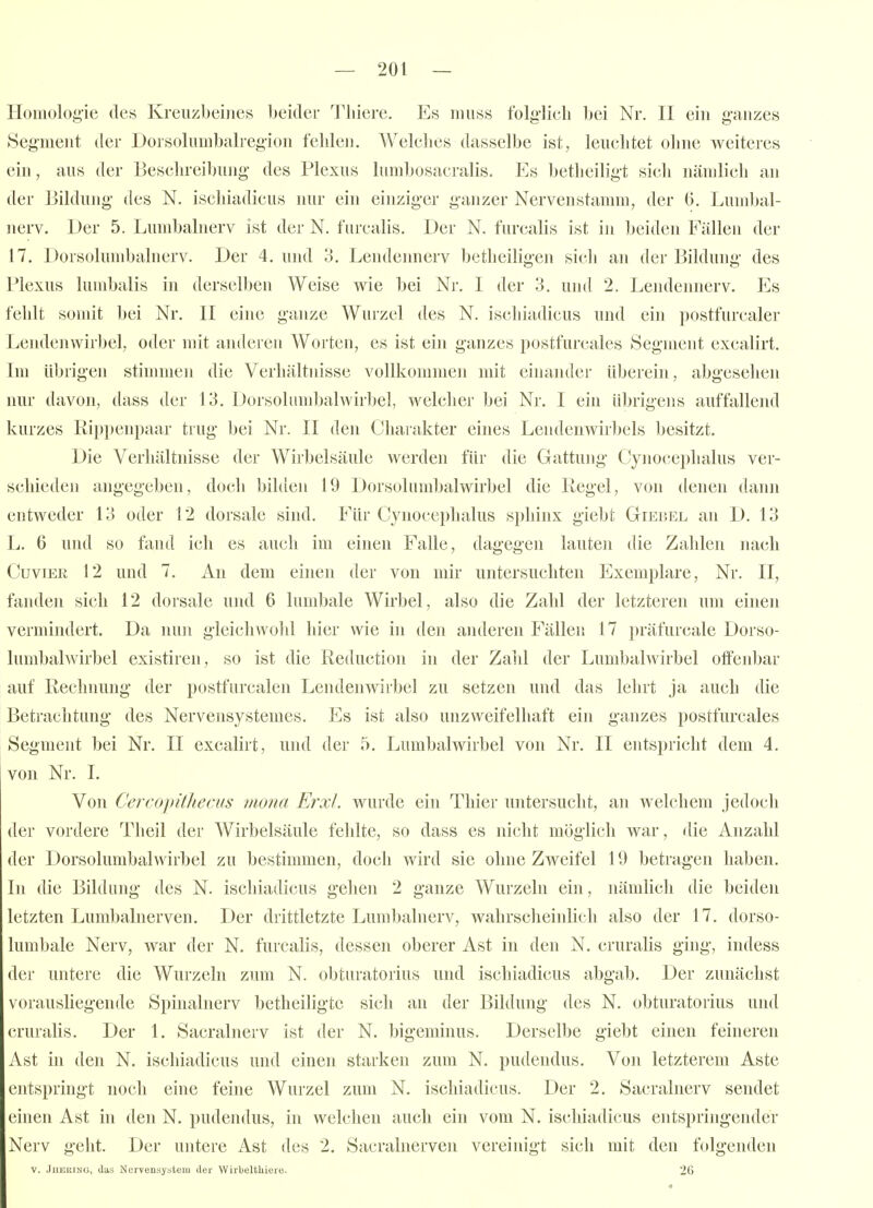 Homologie des Kreuzbeines beider 'J'liiere. Es niiiss folg-licli Ijei Nr. II ein g-anzes Segment der Dorsolumbalregion fehlen. Welclies dasselbe ist, leuchtet ohne weiteres ein, aus der Beschreibung- des Plexus lumbosacralis. Iiis bethciligt sich nämlich an der Bildung des N. ischiadicus nur ein einziger g'anzer Nervenstamm, der 6. Lumbal- nerv. Der 5. Lumbainerv ist der N. furcalis. Der N. furcalis ist in beiden Fällen der 17. Dorsolumbalnerv. Der 4. und 3. Lendeimerv bctheiligen sich an der Bildung' des Plexus lumbalis in derselben Weise wie bei Nr. I der 3. und 2. Lendennerv. Es fehlt somit bei Nr. II eine ganze Wurzel des N. ischiadicus und ein postfurcaler Lendenwirbel, oder mit anderen Worten, es ist ein ganzes postfurcales Segment excalirt. Im übrigen stimmen die Verhältnisse vollkommen mit einander überein, abgesehen nur davon, dass der 13. Dorsolumbalwirbel, welcher bei Nr. I ein übrigens auffallend kurzes Rippenpaar trug bei Nr. II den Charakter eines Lendenwirbels besitzt. Die Verhältnisse der Wirbelsäule werden für die Gattung Cynocephalus ver- schieden angegeben, doch bilden 19 Dorsolumbalwirbel die Regel, von denen dann entweder 13 oder 12 dorsale sind. Für Cynocephalus sphinx giebt Gieuel an D. 13 L. 6 und so tand ich es auch im einen Falle, dagegen lauten die Zahlen nach CuviER 12 und 7. An dem einen der von mir untersuchten Exemplare, Nr. II, fanden sich 12 dorsale und 6 lumbale Wirbel, also die Zahl der letzteren um einen vermindert. Da nun gleichwolil hier wie in den anderen Fällen 17 präfurcale Doi-so- lumbalwirbel existiren, so ist die Reduction in der Zalil der Lumbaiwirbel otfenbar auf Rechnung der postfurcalen Lendenwirbel zu setzen und das lehrt ja auch die Betrachtung des Nervensystemes. Es ist also unzweifelhaft ein ganzes postfurcales Segment bei Nr. II excalirt, und der 5. Lumbalwirbel von Nr. II entspricht dem 4. von Nr. I. Von Cercopithecus mona Erxl. wurde ein Thier untersucht, an welchem jedoch der vordere Theil der Wirbelsäule felilte, so dass es nicht möglich war, die Anzahl der Dorsolumbalwirbel zu bestimmen, doch wird sie ohne Zweifel 19 betragen haben. In die Bildung des N. ischiadicus gehen 2 ganze Wurzeln ein, nämlich die beiden letzten Lumbalnerven. Der drittletzte Lunibalnerv, wahrscheinlich also der 17. dorso- lumbale Nerv, war der N. furcalis, dessen oberer Ast in den N. cruralis ging, indess der untere die Wurzeln zum N. obturatorius und ischiadicus abgab. Der zunächst vorausliegende Spinalnerv betheiligte sich an der Bildung des N. obturatorius und cruralis. Der 1. Sacralnerv ist der N. bigeminus. Derselbe giebt einen feineren Ast in den N. ischiadicus und einen starken zum N. pudendus. Von letzterem Aste entspringt noch eine feine Wurzel zum N. ischiadicus. Der 2. Sacralnerv sendet einen Ast in den N. pudendus, in welchen auch ein vom N. ischiadicus entspringender Nerv geht. Der untere Ast des 2. Sacralnerven vereinigt sich mit den folgenden V. JuEiiiNG, das Nervensystem der VVirbelthiere. 26