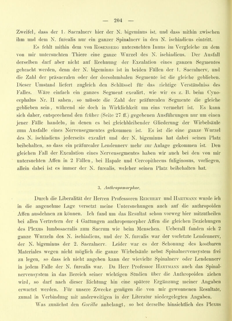 Zweifel, dass der 1. Sacralnerv hier der N. bigeminiis ist, und dass mitliin zwischen ihm und dem N. furcalis nur ein ganzer Spinahierv in den N. ischiadicus eintritt. Es fehlt mithin dem von Rosenbeeg untersuchten Inuus im Vergleiche zu dem von mir untersuchten Thiere eine ganze Wurzel des N. ischiadicus. Der Ausfall derselben darf aber nicht auf Rechnung der Excalation eines ganzen Segmentes gebracht werden, denn der N. bigeminus ist in beiden Fällen der l. Sacralnerv, und die Zahl der präsacralen oder der dorsolumbalen Segmente ist die gleiche geblieben. Dieser Umstand liefert zugleich den Schlüssel für das richtige Verständniss des Falles. Wäre einfach ein ganzes Segment excalirt, wie wir es z. B. beim Cyno- cephalus Nr. II sahen, so müsste die Zahl der präfurcalen Segmente die gleiche geblieben sein, während sie doch in Wirklichkeit um eins vermehrt ist. Es kann sich daher, entsprechend den früher (Seite 27 ff.) gegebenen Ausführungen nur um einen jener Fälle handeln, in denen es bei gleichbleibender Gliederung der Wirbelsäule zum Ausfalle eines Nervensegmentes gekommen ist. Es ist die eine ganze Wurzel des N. ischiadicus jederseits excalirt und der N. bigeminus hat dabei seinen Platz beibehalten, so dass ein präfurcaler Lendennerv mehr zur Anlage gekommen ist. Den gleichen Fall der Excalation eines Nervensegmentes haben wir auch bei den von mir untersuchten Affen in 2 Fällen, bei Hapale und Cercopithecus fuliginosus, vorliegen, allein dabei ist es immer der N. furcalis, welcher seinen Platz beibehalten hat. 3. Antlwopomorphae. Durch die Liberalität der Herren Professoren Reichert und Hartmann wurde ich in die angenehme Lage versetzt meine Untersuchungen auch auf die anthropoiden Alfen ausdehnen zu können. Ich fand um das Resultat schon vorweg hier mitzutheilen bei allen Vertretern der 4 Gattungen anthropomorpher Affen die gleichen Beziehungen des Plexus lumbosacralis zum Sacrum wie beim Menschen. Ueberall fanden sich 2 ganze Wurzeln des N. ischiadicus, und der N. furcalis war der vorletzte Lendennerv, der N. bigeminus der 2. Sacralnerv. Leider war es der Schonung des kostbaren Materiales wegen nicht möglich die ganze Wirbelsäule nebst Spinalnervensystem frei zu legen, so dass ich nicht angeben kann der wievielte Spinalnerv oder Lendennerv in jedem Falle der N. furcalis war. Da Herr Professor Hartmann auch das Spinal- nervensystem in das Bereich seiner wichtigen Studien über die Anthropoiden ziehen wird, so darf nach dieser Richtung hin eine spätere Ergänzung meiner Angaben erwartet werden. Für unsere Zwecke genügen die von mir gewonnenen Resultate, zumal in Verbindung mit anderweitigen in der Literatur niedergelegten Angaben. Was zunächst den Gorilla anbelangt, so bot derselbe hinsichtlich des Plexus