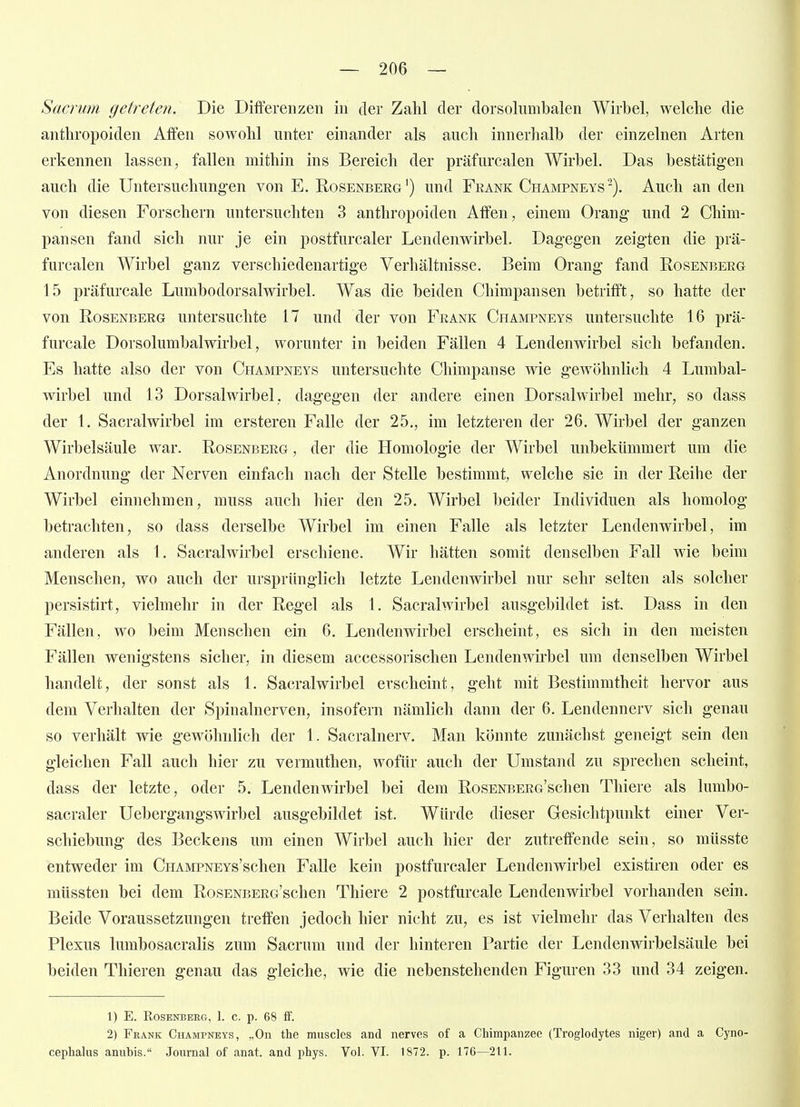 Sacrum getreten. Die Differenzen in der Zahl der dorsolumbalen Wirbel, welche die anthropoiden Affen sowohl unter einander als auch innerhalb der einzelnen Arten erkennen lassen, fallen mithin ins Bereich der präfurcalen Wirbel. Das bestätigen auch die Untersuchung-en von E. Rosenberg') und Frank Champneys'). Auch an den von diesen Forschern untersuchten 3 anthropoiden Affen, einem Orang- und 2 Chim- pansen fand sich nur je ein postfurcaler Lendenwirbel. Dag-egen zeigten die prä- furcalen Wirbel ganz verschiedenartige Verhältnisse. Beim Orang fand Rosenberg 15 präfurcale Lumbodorsalwirbel. Was die beiden Chimpansen betrifft, so hatte der von Rosenberg untersuchte 17 und der von Frank Champneys untersuchte 16 prä- furcale Dorsolumbalwirbel, worunter in beiden Fällen 4 Lendenwirbel sich befanden. Es hatte also der von Champneys untersuchte Chimpanse wie gewöhnlich 4 Lumbai- wirbel und 13 Dorsalwirbel, dagegen der andere einen Dorsalwirbel mehr, so dass der 1. Sacralwirbel im ersteren Falle der 25., im letzteren der 26. Wirbel der ganzen Wirbelsäule war. Rosenbeeg , der die Homologie der Wirbel unbekümmert um die Anordnung der Nerven einfach nach der Stelle bestimmt, welche sie in der Reihe der Wirbel einnehmen, muss auch hier den 25. Wirbel beider Individuen als homolog betrachten, so dass derselbe Wirbel im einen Falle als letzter Lendenwirbel, im anderen als 1. Sacralwirbel erschiene. Wir hätten somit denselben Fall wie beim Menschen, wo auch der ursprünglich letzte Lendenwirbel nur sehr selten als solcher persistirt, vielmehr in der Regel als 1. Sacralwirbel ausgebildet ist. Dass in den Fällen, wo beim Menschen ein 6. Lendenwirbel erscheint, es sicli in den meisten Fällen wenigstens sicher, in diesem accessorischen Lendenwirbel um denselben Wirbel handelt, der sonst als 1. Sacralwirbel erscheint, geht mit Bestimmtheit hervor aus dem Verhalten der Spinalnerven, insofern nämlich dann der 6. Lendennerv sich genau so verhält wie gewöhnlich der 1. Sacralnerv. Man könnte zunächst geneigt sein den gleichen Fall auch hier zu vermuthen, wofür auch der Umstand zu sprechen scheint, dass der letzte, oder 5. Lendenwirbel bei dem RosENBERG'schen Thiere als lumbo- sacraler Uebergangswirbel ausgebildet ist. Würde dieser Gesichtpunkt einer Ver- schiebung des Beckens um einen Wirbel auch hier der zutreffende sein, so müsste entweder im CnAMPNEYs'schen Falle kein postfurcaler Lendenwirbel existiren oder es müssten bei dem RosENBERG'schen Thiere 2 postfurcale Lendenwirbel vorhanden sein. Beide Voraussetzungen treffen jedoch hier nicht zu, es ist vielmehr das Verhalten des Plexus lumbosacralis zum Sacrum und der hinteren Partie der Lendenwirbelsäule bei beiden Tliieren genau das gleiche, wie die nebenstehenden Figuren 33 und 34 zeigen. 1) E. Rosenbeeg, 1. c. p. 68 £f. 2) Frank Champneys, „On the muscles and nerves of a Chimpanzee (Troglodytes niger) and a Cyno- cephalus anubis. Journal of anat. and phys. Vol. VI. 1872. p. 176—211.