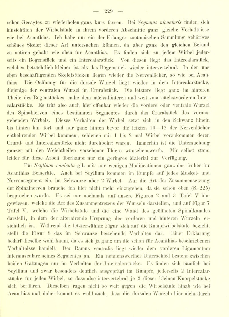 schon Gesagtes zu wiederholen ganz kurz fassen. ]3ei Srynuius nicaeinsis finden sicli hinsichtheh der Wirbelsäule in ihrem vorderen Abschnitte ganz gleiche Verhältnisse wie hei Acanthias. Ich habe nur ein der Erlanger zootoraischen Sammlung gehöriges schönes Skelet dieser Art untersuchen können, da aber ganz den gleichen Befund zu notiren gehabt wie oben für Acanthias. Es finden sich zu jedem -Wirbel jeder- seits ein Bogenstück und ein Intercalarstück. Von diesen liegt das Intercalarstück, welches beträchtlich kleiner ist als das Bogenstück wieder intervertebral. In den uns eben beschäftigenden Skeletstücken liegen wieder die Nervenlöeher, so wie bei Acan- thias. Die Oeffnung für die dorsale Wuizel liegt wieder in dem Intercalarstücke, diejenige der ventralen Wurzel im Cruralstück, Die letztere liegt ganz im hinteren Theile des Bogenstückes, nahe dem nächsthinteren und weit vom näclistvorderen Inter- calarstücke. Es tritt also auch hier offenbar wieder die vordere oder ventrale Wurzel des Spinalnerven eines bestimmten Segmentes durch das Cruralstück des voraus- gehenden AVirbels. Dieses Verhalten der Wirbel setzt sich in den Schwanz hinein bis hinten hin fort und nur ganz hinten bevor die letzten 10—12 der Nervenlöcher entbehrenden Wiibel kommen, schienen mir 1 bis 2 mal Wirbel vorzukommen deien Crural- und Intercalarstücke nicht durchbohrt waren. Immerhin ist die Untersuchung ganzer mit den Weichtheilen versehener Thiere wünschenswerth. Mir selbst stand leider für diese Arbeit überhaupt nur ein geringes Material zur Verfügung. Für SajUiuni canicula gilt mit nur wenigen Modificationen ganz das frülier für Acanthias Bemerkte. Auch bei Scyllium kommen im Rumpfe auf jedes Muskel- und Nervensegment ein, im Schwänze aber 2 Wirbel. Auf die Art der Zusammensetzung der Spinalnerven brauche ich hier nicht mehr einzugehen, da sie schon oben (S. 225) besprochen wurde. Es sei nur nochmals auf unsere Figuren 2 und 3 Tafel V hin- gewiesen, welche die Art des Zusammentretens der Wurzeln darstellen, und auf Figur 7 Tafel V, welche die Wirbelsäule und die eine Wand des geöffneten Spinalkanales darstellt, in dem der alternirende Ursprung der vorderen und hinteren Wurzeln er- sichtlich ist. Während die letzterwähnte Figur sich auf die Rumpf Wirbelsäule bezieht, stellt die Figur 8 das im Schwänze bestehende Verhalten dar. Einer Erlclärung bedarf dieselbe wohl kaum, da es sich ja ganz um die sclion für Acanthias beschriebenen Verhältnisse handelt. Der Ramus ventralis liegt wieder dem vorderen Ligamentum intermusculare seines Segmentes an. Ein nennenswerther Unterschied besteht zwischen beiden Gattungen nur im Verhalten der Intercalarstücke. Es finden sich nämlich bei Scyllium und zwar besonders deutlich ausgeprägt im Rumpfe, jederseits 2 Intercalar- stücke für jeden Wirbel, so dass also intervertebral je 2 dieser kleinen Knorpelstücke sich berühre]!. Dieselben ragen nicht so weit gegen die Wirbelsäule hinab wie bei Acanthias uiul daher kommt es wohl auch, dass die dorsalen Wurzeln hier nicht durch