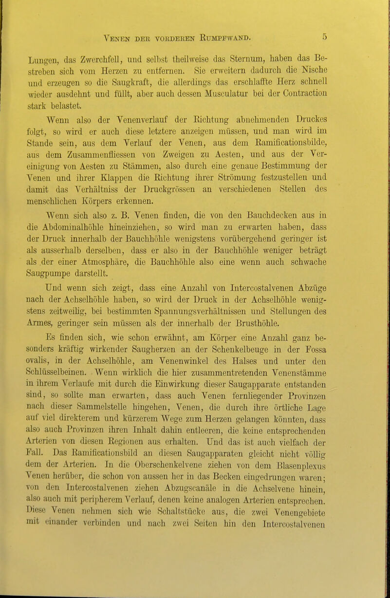 Lungen, das Zwerchfell, und selbst theilweise das Sternum, haben das Be- streben sich vom Herzen zu entfernen. Sie erweitern dadurch die Nische und erzeugen so die Saugkraft, die allerdings das erschlaffte Herz schnell wieder ausdehnt und füllt, aber auch dessen Musculatur bei der Contraction stark belastet. Wenn also der Venenverlauf der Eichtung abnehmenden Druckes folgt, so wii-d er auch diese letztere anzeigen müssen, und man wird im Stande sein, aus dem Verlauf der Venen, aus dem Ramificationsbilde, aus dem Zusammenfliessen von Zweigen zu Aesten, und aus der Ver- einigung von Aesten zu Stämmen, also durch eine genaue Bestimmung der Venen und ihi-er Klappen die Richtung ihrer Strömung festzustellen und damit das Verhältniss der Druckgrössen an verschiedenen Stellen des menschhchen Körpers erkennen. Wenn sich also z. B. Venen finden, die von den Bauchdecken aus in die Abdominalhöhle hineinziehen, so wird man zu erwarten haben, dass der Druck innerhalb der Bauchhöhle wenigstens vorübergehend geringer ist als ausserhalb derselben, dass er also in der Bauchhöhle weniger beträgt als der einer Atmosphäre, die Bauchhöhle also eine wenn auch schwache Saugpumpe darstellt. Und wenn sich zeigt, dass eine Anzahl von Intercostalvenen Abzüge nach der Achselhöhle haben, so wird der Druck in der Achselhöhle wenig- stens zeitweihg, bei bestimmten Spannungsverhältnissen und Stellungen des Armes, geringer sein müssen als der innerhalb der Brusthöhle. Es finden sich, wie schon erwähnt, am Körper eine Anzahl ganz be- sonders kräftig wirkender Saugherzen an der Schenkelbeuge in der Possa ovalis, in der Achselhöhle, am Venen wink el des Halses und unter den Schlüsselbeinen. Wenn wirkhch die hier zusammentretenden Venenstämme in ihrem Verlaufe mit durch die Einwirkung dieser Saugapparate entstanden sind, so sollte man erwarten, dass auch Venen fernliegender Provinzen nach dieser Sammelstelle hingehen, Venen, die durch ihre örtliche Lage auf viel direkterem und kürzerem Wege zum Herzen gelangen könnten, dass also auch Provinzen ihren Inhalt dahin entleeren, die keine entsprechenden Arterien von diesen Regionen aus erhalten. Und das ist auch vielfach der Fall. Das Ramificationsbild an diesen Saugapparaten gleicht nicht völlig dem der Arterien. In die Oberschenkelvene ziehen von dem Blasenplexus Venen herüber, die schon von aussen her in das Becken eingedrungen waren; von den Intercostalvenen ziehen Abzugscanäle in die Achselvene hinein, also auch mit peripherem Verlauf, denen keine analogen Arterien entsprechen. Diese Venen nehmen sich wie Schaltstücke aus, die zwei Veneugebiete mit einander verbinden und nach zwei Seiten hin den Intercostalvenen