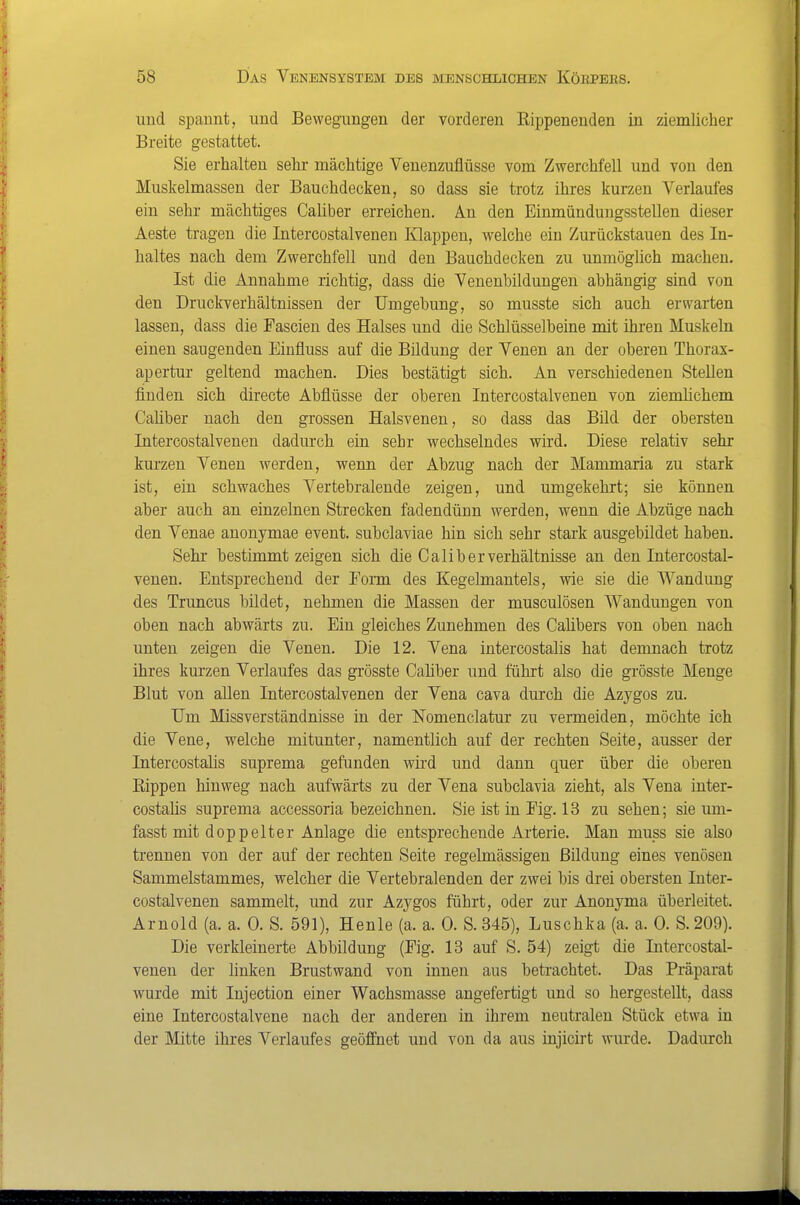 und spannt, und Bewegungen der vorderen Kippenenden in ziemlicher Breite gestattet. Sie erhalten sehr mächtige Venenzuflüsse vom Zwerchfell und von den Muskelmassen der Bauchdecken, so dass sie trotz ihres kurzen Verlaufes ein sehr mächtiges Caliber erreichen. An den Einmündungssteilen dieser Aeste tragen die Intercostalvenen Klappen, welche ein Zurückstauen des In- haltes nach dem Zwerchfell und den Bauchdecken zu unmöglich machen. Ist die Annahme richtig, dass die Venenbildungen abhängig sind von den Druckverhältnissen der Umgebung, so musste sich auch erwarten lassen, dass die Fascien des Halses und die Schlüsselbeine mit ihren Muskeln einen saugenden Einfluss auf die Büdung der Venen an der oberen Thorax- apertur geltend machen. Dies bestätigt sich. An verschiedenen Stellen finden sich directe Abflüsse der oberen Intercostalvenen von ziemhchem Caüber nach den grossen Halsvenen, so dass das Bild der obersten Intercostalvenen dadurch ein sehr wechselndes wird. Diese relativ sehr kurzen Venen werden, wenn der Abzug nach der Mammaria zu stark ist, ein schwaches Vertebralende zeigen, und umgekehrt; sie können aber auch an einzelnen Strecken fadendünn werden, wenn die Abzüge nach den Venae anonymae event. subclaviae hin sich sehr stark ausgebildet haben. Sehr bestimmt zeigen sich die Caliber Verhältnisse an den Intercostal- venen. Entsprechend der Fonn des Kegelmantels, wie sie die Wandung des Truncus bildet, nehmen die Massen der musculösen Wandungen von oben nach abwärts zu. Ein gleiches Zunehmen des Calibers von oben nach unten zeigen die Venen. Die 12. Vena intercostalis hat demnach trotz ihres kurzen Verlaufes das grösste Caliber und führt also die grösste Menge Blut von allen Intercostalvenen der Vena cava durch die Azygos zu. Um Missverständnisse in der Nomenclatur zu vermeiden, möchte ich die Vene, welche mitunter, namentlich auf der rechten Seite, ausser der Intercostalis suprema gefunden wird und dann quer über die oberen Kippen hinweg nach aufwärts zu der Vena subclavia zieht, als Vena inter- costalis suprema accessoria bezeichnen. Sie ist in Fig. 13 zu sehen; sie um- fasst mit doppelter Anlage die entsprechende Arterie. Man muss sie also trennen von der auf der rechten Seite regelmässigen Bildung eines venösen Sammelstammes, welcher die Vertebralenden der zwei bis drei obersten Inter- costalvenen sammelt, und zur Azygos führt, oder zur Anonyma überleitet. Arnold (a. a. 0. S. 591), Henle (a. a. 0. S. 345), Luschka (a. a. 0. S. 209). Die verkleinerte Abbildung (Fig. 13 auf S. 54) zeigt die Intercostal- venen der linken Brustwand von innen aus betrachtet. Das Präparat wurde mit Injection einer Wachsmasse angefertigt und so hergestellt, dass eine Intercostalvene nach der anderen in ihrem neutralen Stück etwa in der Mitte ihres Verlaufes geöffnet und von da aus injicirt wurde. Dadurch