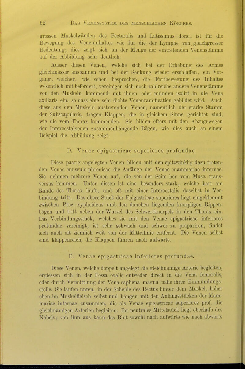 grossen Muskelwänden des Pectoralis und Latissimus dorsi, ist für die Bewegung des Veneniulialtes wie für die der Lymphe von. gleichgrosser Bedeutung; dies zeigt sich an der Menge der eintretenden Venenstämme auf der Abbildung sehr deutlich. Ausser diesen Venen, welche sich bei der Erhebung des Armes gleichmässig anspannen und bei der Senkung wieder erschlaffen, ein Vor- gang, welcher, wie schon besprochen, die Fortbewegung des Inhaltes wesentlich mit befördert, vereinigen sich noch zahlreiche andere Venenstämme von den Muskeln kommend mit ihnen oder münden isolirt in die Vena axillaris ein, so dass eine sehr dichte Venenramificatiou gebildet wird. Auch diese aus den Muskeln austretenden Venen, namentlich der starke Stamm der Subscapularis, tragen Sappen, die in gleichem Sinne gerichtet sind, wie die vom Thorax kommenden. Sie bilden öfters mit den Abzugswegen der Intercostalvenen zusammenhängende Bögen, wie dies auch an einem Beispiel die Abbildung zeigt. D. Venae epigastricae superiores profundae. Diese paarig angelegten Venen bilden mit den spitzwinklig dazu treten- den Venae musculo-phrenicae die Anfänge der Venae mammariae internae. Sie nehmen mehrere Venen auf, die von der Seite her vom Muse, trans- versus kommen. Unter diesen ist eine besonders stark, welche hart am Kande des Thorax läuft, und oft mit einer Intercostalis daselbst in Ver- bindung tritt. Das obere Stück der Epigastricae superiores hegt eingeklemmt zwischen Proc. xyphoideus und den daneben liegenden knorphgen Eippen- bögen und tritt neben der Wurzel des Schwertkuorpels in den Thorax ein. Das Verbindungsstück, welches sie mit den Venae epigastricae inferiores profundae vereinigt, ist sehr schwach und schwer zu präpariren, findet sich auch oft ziemlich weit von der Mittellinie entfernt. Die Venen selbst srud klappenreich, die Klappen führen nach aufwärts. E. Venae epigastricae inferiores profundae. Diese Venen, welche doppelt angelegt die gleichnamige Arterie begleiten, ergiessen sich in der Fossa ovalis entweder direct in die Vena femoralis, oder durch Vermittlung der Vena saphena magna nahe ihrer Einmündungs- stelle. Sie laufen unten, in der Scheide des Kectus hinter dem Muskel, höher oben im Muskelfleisch selbst und hängen mit den Anfangsstücken der Mam- mariae internae zusammen, die als Venae epigastricae superiores prof. die gleichnamigen Arterien begleiten. Ihr neutrales Mittelstück liegt oberhalb des Nabels; von ihm aus kann das Blut sowohl nach aufwärts wie nach abwärts