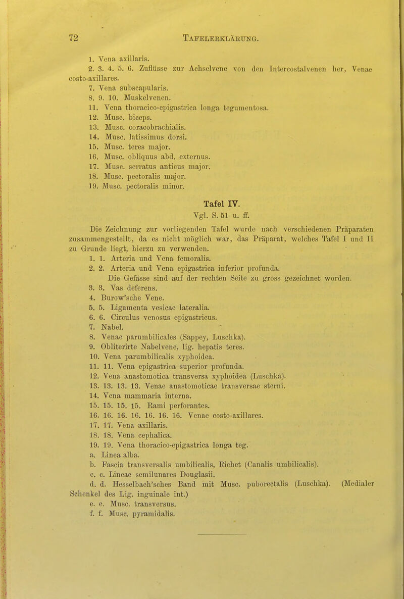 1. Vena axillaris. 2. 3. 4. 5. G. Zuflüsse zur Achselvene von den Intercostalvenen her, Venae costo-axillares. 7. Vena subscapularis. 8. 9. 10. Muskel venen. 11. Vena thoracico-eijigastrica longa tegumentosa. 12. Muse, biceps. 13. Muse, coracobrachialis. 14. Muse, latissimus dorsi. 15. Muse, teres major. 16. Muse, obliquus abd. externus. 17. Muse, serratus antieus major. 18. Muse, pectoralis major. 19. Muse, pectoralis minor. Tafel IV. Vgl. S. 51 u. fF. Die Zeichnung zur vorliegenden T.ifel wurde nach verschiedenen Präparaten zusammengestellt, da es nicht möglieh war, das Präparat, welches Tafel I und II zu Grunde liegt, hierzu zu verwenden. 1. 1. Arteria und Vena femoralis. 2. 2. Arteria und Vena epigastrica inferior profunda. Die Gefässe sind auf der rechten Seite zu gross gezeichnet worden. 3. 3. Vas deferens. 4. Burow^sche Vene. 5. 5. Ligamenta vesicae lateralia. 6. 6. Circulus venosus epigastricus. 7. Nabel. 8. Venae parumbilicales (Sfippey, Luschka). 9. Obliterirte Nabelvene, lig. hepatis teres. 10. Vena parumbilicalis xyphoidea. 11. 11. Vena epigastrica superior profunda. 12. Vena anastomotica transversa xyphoidea (Luschka). 13. 13. 13. 13. Venae anastomoticae transversae sterni. 14. Vena mammaria interna. 15. 15. 15. 15. Kami perforantes. 16. 16. 16. 16. 16. 16. 16. Venae costo-axillares. 17. 17. Vena axillaris. 18. 18. Vena cephalica. 19. 19. Vena thoracico-epigastrica longa teg. a. Linea alba. b. Fascia transversalis umbilicalis. Riebet (Canalis umbilicalis). c. c. Lineae semilunares Dougiasii. d. d. Hesselbach'sches Band mit Muse, puborectalis (Luschka). (Medialer Schenkel des Lig. inguinale int.) e. e. Muse, transversus. f. f. Muse, pyramidalis.