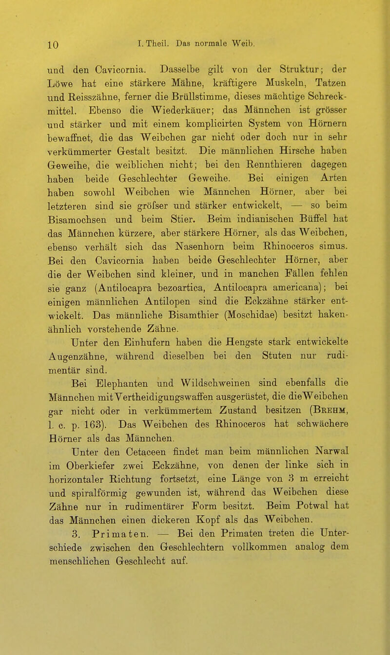 und den Cavicornia. Dasselbe gilt von der Struktur; der Löwe hat eine stärkere Mähne, kräftigere Muskeln, Tatzen und Reisszähne, ferner die Brüllstimme, dieses mächtige Schreck- mittel. Ebenso die Wiederkäuer; das Männchen ist grösser und stärker und mit einem komplicirten System von Hörnern bewafihet, die das Weibchen gar nicht oder doch nur in sehr verkümmerter Gestalt besitzt. Die männlichen Hirsche haben Geweihe, die weiblichen nicht; bei den Rennthieren dagegen haben beide Geschlechter Geweihe. Bei einigen Arten haben sowohl Weibchen wie Männchen Hörner, aber bei letzteren sind sie gröfser und stärker entwickelt, — so beim Bisamochsen und beim Stier. Beim indianischen Büffel hat das Männchen kürzere, aber stärkere Hörner, als das Weibchen, ebenso verhält sich das Nasenhorn beim Rhinoceros simus. Bei den Cavicornia haben beide Geschlechter Hörner, aber die der Weibchen sind kleiner, und in manchen Fällen fehlen sie ganz (Antilocapra bezoartica, Antilocapra americana); bei einigen männlichen Antilopen sind die Eckzähne stärker ent- wickelt. Das männliche Bisamthier (Moschidae) besitzt haken- ähnlich vorstehende Zähne. Unter den Einhufern haben die Hengste stark entwickelte Augenzähne, während dieselben bei den Stuten nur rudi- mentär sind. Bei Elephanten und Wildschweinen sind ebenfalls die Männchen mit Vertheidigungswaffen ausgerüstet, die die Weibchen gar nicht oder in verkümmertem Zustand besitzen (Brehm, 1. c. p. 163). Das Weibchen des Rhinoceros hat schwächere Hörner als das Männchen. Unter den Cetaceen findet man beim männlichen Narwal im Oberkiefer zwei Eckzähne, von denen der linke sich in horizontaler Richtung fortsetzt, eine Länge von 8 m erreicht und spiralförmig gewunden ist, während das Weibchen diese Zähne nur in rudimentärer Form besitzt. Beim Potwal hat das Männchen einen dickeren Kopf als das Weibchen. 3. Primaten. — Bei den Primaten treten die Unter- schiede zwischen den Geschlechtern vollkommen analog dem menschlichen Geschlecht auf.