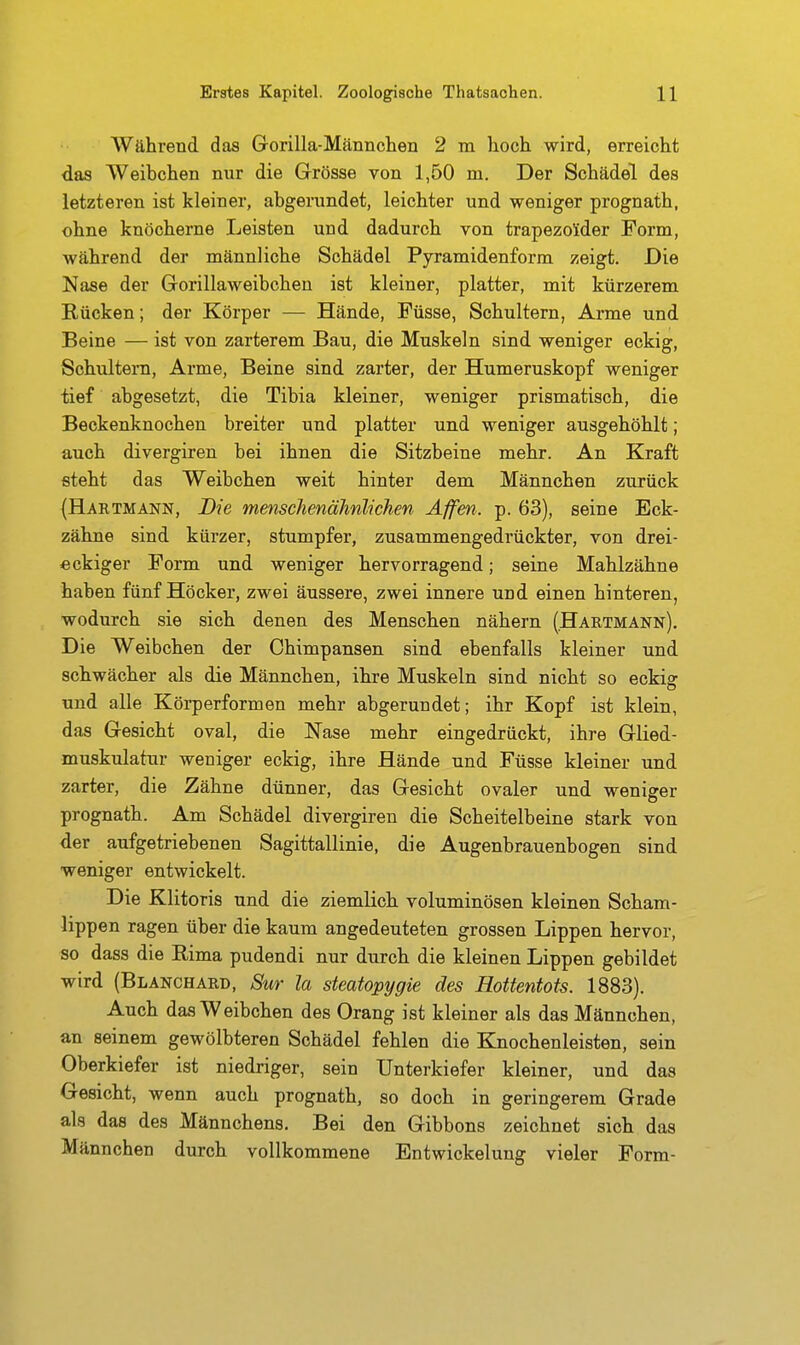 Während das Gorilla-Männchen 2 m hoch wird, erreicht das Weibchen nur die Grösse von 1,50 m. Der Schädel des letzteren ist kleiner, abgerundet, leichter und weniger prognath, ohne knöcherne Leisten und dadurch von trapezo'ider Form, während der männliche Schädel Pyramidenform zeigt. Die Nase der Gorillaweibcheu ist kleiner, platter, mit kürzerem Rücken; der Körper — Hände, Füsse, Schultern, Ai*me und Beine — ist von zarterem Bau, die Muskeln sind weniger eckig, Schultern, Arme, Beine sind zarter, der Humeruskopf weniger tief abgesetzt, die Tibia kleiner, weniger prismatisch, die Beckenknochen breiter und platter und weniger ausgehöhlt; auch divergiren bei ihnen die Sitzbeine mehr. An Kraft steht das Weibchen weit hinter dem Männchen zurück (Hartmann, Die menschenähnlichen Affen, p. 63), seine Eck- zähne sind kürzer, stumpfer, zusammengedrückter, von drei- eckiger Form und weniger hervorragend; seine Mahlzähne haben fünf Höcker, zwei äussere, zwei innere und einen hinteren, wodurch sie sich denen des Menschen nähern (.Hartmann). Die Weibchen der Chimpansen sind ebenfalls kleiner und schwächer als die Männchen, ihre Muskeln sind nicht so eckig und alle Körperformen mehr abgerundet; ihr Kopf ist klein, das Gesicht oval, die Nase mehr eingedrückt, ihre Glied- muskulatur weniger eckig, ihre Hände und Füsse kleiner und zarter, die Zähne dünner, das Gesicht ovaler und weniger prognath. Am Schädel divergiren die Scheitelbeine stark von der aufgetriebenen Sagittallinie, die Augenbrauenbogen sind weniger entwickelt. Die Klitoris und die ziemlich voluminösen kleinen Scham- lippen ragen über die kaum angedeuteten grossen Lippen hervor, so dass die Rima pudendi nur durch die kleinen Lippen gebildet wird (Blanchard, Sur la steatopygie des Hottentots. 1883). Auch das Weibchen des Orang ist kleiner als das Männchen, an seinem gewölbteren Schädel fehlen die Knochenleisten, sein Oberkiefer ist niedriger, sein Unterkiefer kleiner, und das Gesicht, wenn auch prognath, so doch in geringerem Grade als das des Männchens. Bei den Gibbons zeichnet sich das Männchen durch vollkommene Entwickelung vieler Form-