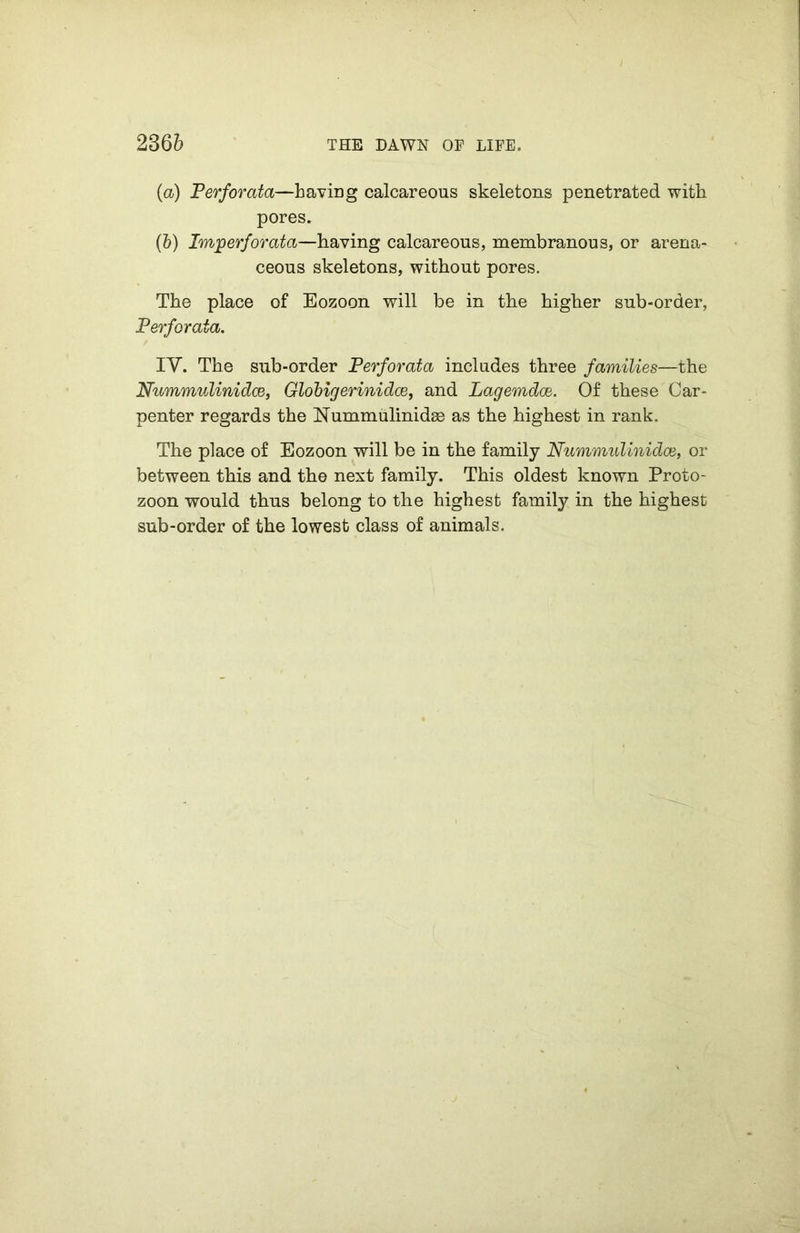 (<x) Perforata—having calcareous skeletons penetrated with pores. (&) Imperforata—having calcareous, membranous, or arena- ceous skeletons, without pores. The place of Eozoon will be in the higher sub-order, Perforata. IV. The sub-order Perforata includes three families—the Nummulinidce, Globigerinidce, and Lagemdce. Of these Car- penter regards the Nummulinidce as the highest in rank. The place of Eozoon will be in the family Nummulinidce, or between this and the next family. This oldest known Proto- zoon would thus belong to the highest family in the highest sub-order of the lowest class of animals.