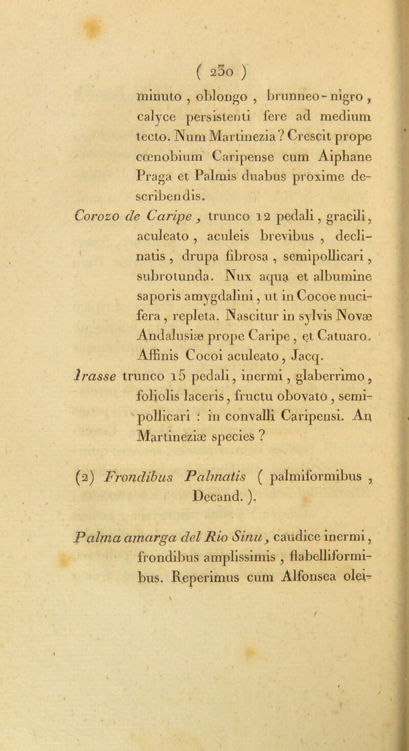 ( 200 ) minuto , oljlongo , Ijriinneo-nigro , calyce persistenti fere ad medium tecto. Num Martinezia ? Crescit prope ccenobium' Caripense cum Aiphane Praga et Palmis duabus proxime de- scribendis. Corozo de Caripe , trunco 12 pedali, gracili, aculeato, aculeis brevibus , decli- ' natis , drupa fibrosa , seraipoUicari, subrotunda. Nux acpia et albumine saporis amygdalini, ut in Cocoe nuci- fera, repleta. Nascitur in sylvis Novae Andalusiae prope Caripe, et Catuaro. Affinis Cocoi aculeato, Jaccp l?'asse trunco i5 pedali, inermi, glaberrimo, foliolis laceris, fructu obovato , semi- pollicari : in convalli Caripensi. Au Martineziae species ? (2) Frondibus Pahnatis ( palmiformibus , Decand. ), Palma amarga dei Rio Sinu, caudice inermi, frondibus amplissimis , flabelliformi- bus. Reperimus cum Alfonsea olei-