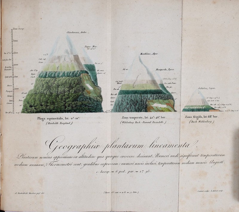 Chiminfraxo, PlaQ^a ?e(]^ninoc(ialis, lat. o - lO®. ^Humboldt. Jionp/and.J 2ona temperata, lat. 4-3l>or. ^lPfdiU/d>er<f- Tiuch. -liamond. J)ecandofIe J Zona fingida, lat. 6d“ l)or. ^Buch d^tddenfwq. J rrr/ra//////r u//('zr//zz\ wMf/Nf I0NW/W/M ra a/Yf/dZ/K' ytfa /jtnryftc iY(',irn'c dMOi/////-. Yu//te/v /ufdf Mn/Za/N awt/-. znzfdZ/Y z',r/nr<hUf/z/ : /izzz/irz-Z t///rZi Micd.i/, /zw/mn/f/mz,' zd J. /te,vir/i. = b'/>e</. />nr. = i,' t)5 ■ 'z//zl ,izj^ziz^'<zz//- /czz/^/<’Z‘(//zfz'irzz/ /ZHz/ZtZZZt ZZl(’ZI<l/- ','/ Z/zz<jZZZ,t/Z. llu/rJioU/ Jf/ jVan/i-u-f • ('Ilmn iS Cf/if-^ 30 A *» jy.Fahr.) 1'outtmt jaz/p^f h Aubert JCiip- \ //tiiir/'- j. .5o« KAtTfit-1 Matuv. fopin/an. Xihpa- ooo Caraau- SuIUei/mc, lapon • Fopoc. Jfea' ■ Zat- jg-30  Mondhmc, ^Jlpe,f ■ Ctrh'. r^' (fnim ■ PmocyZ At^ s:j Af/<ir. CmA- Alnnux. Qi/ere. is' Montperdti, Fpren ■ Ain ■ mbrA une. - tz'ZAup. *pf b.) t)'aZ /urb- if- bm ■ ’3- ZAio/