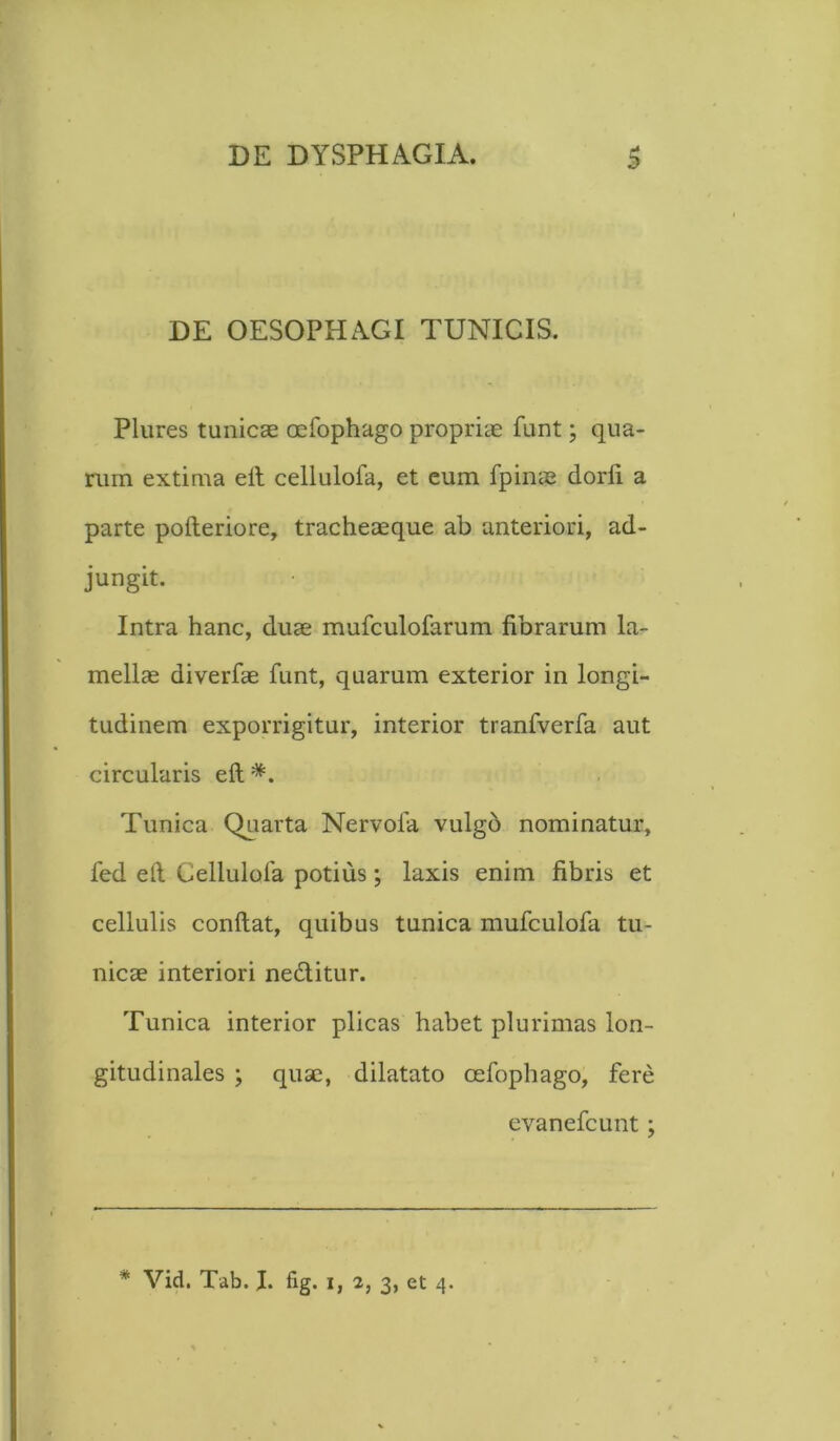 DE OESOPHAGI TUNICIS. Plures tunicae oefophago propriae funt; qua- rum extima eft cellulofa, et eum fpinae dorli a parte pofteriore, tracheaeque ab anteriori, ad- jungit. Intra hanc, duae mufculofarum fibrarum la- mellae diverfae funt, quarum exterior in longi- tudinem exporrigitur, interior tranfverfa aut circularis eft *. Tunica Quarta Nervola vulgo nominatur, fed eft Cellulofa potius; laxis enim fibris et cellulis conftat, quibus tunica mufculofa tu- nicae interiori ne&itur. Tunica interior plicas habet plurimas lon- gitudinales ; quae, dilatato cefophago, fere evanefcunt; * Vid. Tab. fig. i, 2, 3, et 4.