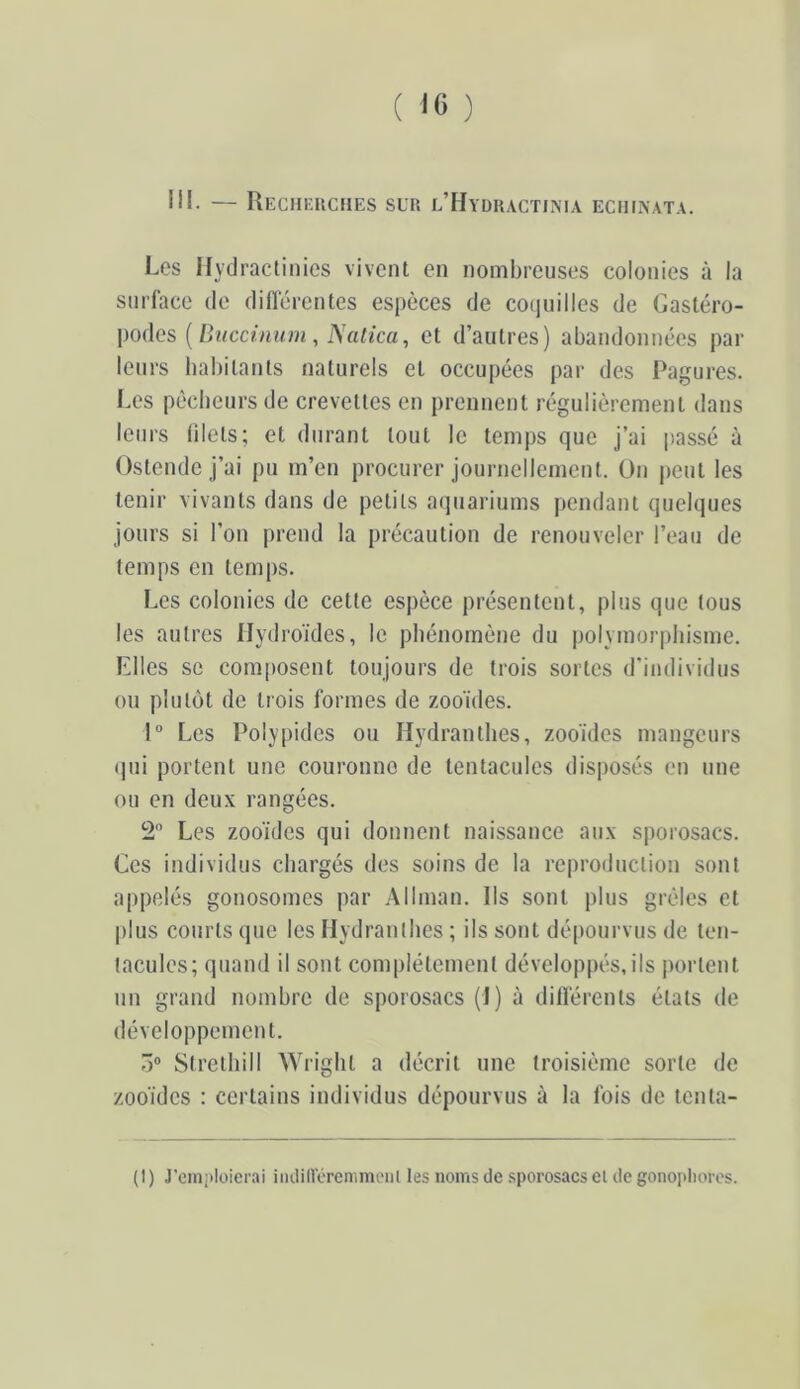 ( ) III. — Rechi-uciies sun l’Hydiiactima ecuixNata. Les llydractinics vivent en nombreuses colonies à la surface de différentes espèces de co(juilles de Gastéro- podes (/Inccûmm, AViiica, et d’autres) abandonnées par leurs habitants naturels et occupées par des Pagures. Les pécheurs de crevettes en prennent régulièrement dans leurs filets; et durant tout le temps que j’ai |>assé ù Ostende j’ai pu m’en procurer journellement. On peut les tenir vivants dans de petits aquariums pendant quelques jours si l’on prend la précaution de renouveler l’eau de temps en temps. Les colonies de cette espèce présentent, plus que tous les autres llydroïdes, le phénomène du polymorphisme. Llles se com|)osent toujours de trois sortes d'individus ou plutôt de tiois formes de zoo'ides. 1° Les Polypides ou Hydranthes, zooules mangeurs (|ui portent une couronne de tentacules disposés en une ou en deux rangées. 2 Les zooïdes qui donnent naissance aux sporosacs. Ces individus chargés des soins de la reproduction sont appelés gonosomes par Allman. Ils sont plus grêles et plus courts que les Hydranthes ; ils sont dépourvus de ten- tacules; quand il sont complètement développés, ils portent nn grand nombre de sporosacs (I) à différents états de développement. O® Strelhill ^yright a décrit une troisième sorte de zooïdes : certains individus dépourvus à la fois de tenta- (I) J'cinpioicni iiKliltereniniLMil les noms de .sporosacs el de gonoitlioros.