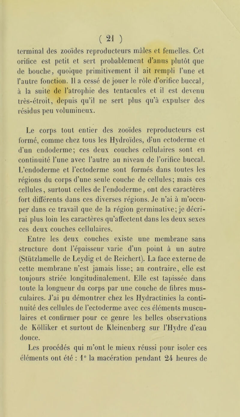 terminal des zooïdes reproducteurs mâles et femelles. Cet orilice est petit et sert probablement d’anus plutôt que de bouche, quoique primitivement il ait rempli l’une et l’autre fonction. 11 a cessé de jouer le rôle d’orifice buccal, à la suite de l’atropbie des tentacules et il est devenu très-étroit, depuis qu’il ne sert plus qu’à expulser des résidus peu volumineux. Le corps tout entier des zooïdes reproducteurs est formé, comme chez tous les Hydroides, d’un ectoderme cl d’un endoderme; ces deux couches cellulaires sont en continuité l’une avec l’autre au niveau de l’orifice buccal. L’endoderme et l’ectoderme sont formés dans toutes les régions du corps d’une seule couche de cellules; mais ces cellules, surtout celles de l’endoderme, ont des caractères fort différents dans ces diverses régions. Je n’ai à m’occu- per dans ce travail que de la région germinative; je décri- rai plus loin les caractères qu’alfectent dans les deux sexes ces deux couches cellulaires. Entre les deux couches existe une membrane sans structure dont l’épaisseur varie d’un point à un autre (Slülzlamelie de Leydig et de Reicherl). La face externe de celte membrane n’est jamais lisse; au contraire, elle est toujours striée longitudinalement. Elle est tapissée dans toute la longueur du corps par une couche de fibres mus- culaires. J’ai pu démontrer chez les Hydraclinies la conti- nuité des cellules de l’ectoderme avec ces éléments muscu- laires et confirmer pour ce genre les belles observations de Kolliker et surtout de Kleinenberg sur l’Hydre d’eau douce. Les procédés qui m’ont le mieux réussi pour isoler ces éléments ont été : 1“ la macération pendant 24 licures de