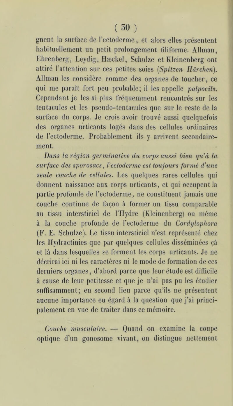 gncnt la surface de recloderme, et alors elles présentent habituellement un petit prolongement filiforme. Allman, Ehrenberg, Leydig, Hæckel, Scimize et Kleinenherg ont attiré l’attention sur ces petites soies [Spitzen Ildrchen). Allman les considère comme des organes de toucher, ce qui me paraît fort peu probable; il les appelle palpocUs. Cependant je les ai plus fréquemment rencontrés sur les tentacules et les pseudo-tentacules que sur le reste de la surface du corps. Je crois avoir trouvé aussi quelquefois des organes ui ticants logés dans des cellules ordinaires de l’ectoderme. Probablement ils y arrivent secondaire- ment. Dans la région (jerminalive du corps aussi bien rpi’à la surface des sporosacs^ l’ectoderme est toujours formé d'une seule couche de cellules. Les quelques rares cellules qui donnent naissance aux corps urticants, et qui occupent la partie profonde de l’ectoderme, ne constituent jamais une couche continue de façon à former un tissu comparable au tissu intersticiel de l’Hydre (Kleinenherg) ou même à la couche profonde de l’ectoderme du Cordylophora (F. E. Schulze). Le tissu intersticiel n’est représenté chez les Hydractinies que par quelques cellules disséminées çà et là dans lesquelles se forment les corps urticants. Je ne décrirai ici ni les caractères ni le mode de formation de ces derniers organes, d’abord parce que leur étude est difficile à cause de leur petitesse et que je n’ai pas pu les étudier suffisamment; en second lieu parce qu’ils ne présentent aucune importance eu égard à la question que j’ai princi- palement en vue de traiter dans ce mémoire. Couche musculaire. — Quand on examine la coupe optique d’un gonosome vivant, on distingue nettement