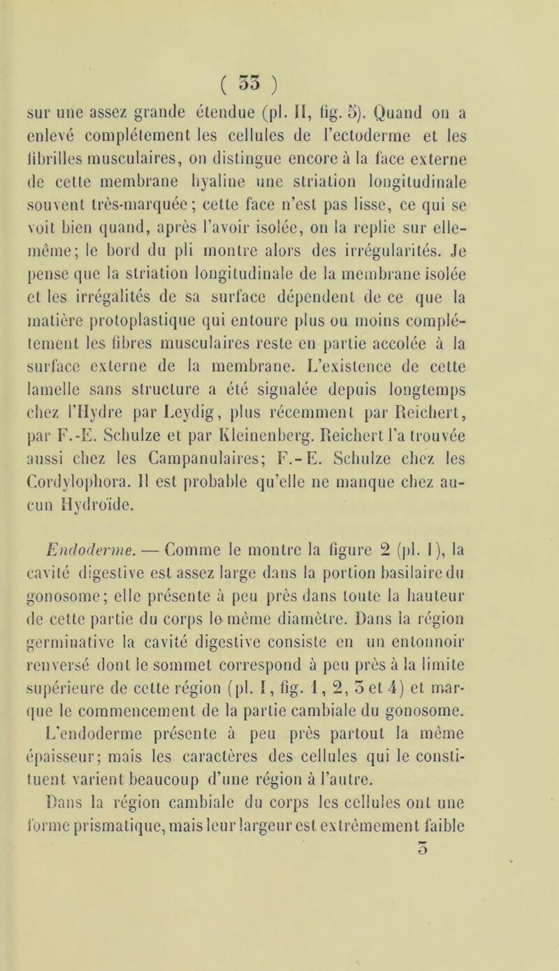 ( 35 ) sur une assez grande étendue (pi. H, lig. 5). Quand on a enlevé complètement les cellules de l’ectoderme et les librilles musculaires, on distingue encore à la l'ace externe de cette membrane hyaline une striation longitudinale souvent très-marquée; cette face n’est pas lisse, ce qui se voit bien quand, après l’avoir isolée, on la replie sur elle- même; le bord du pli montre alors des irrégularités. Je pense que la striation longitudinale de la membrane isolée et les irrégalités de sa surface dépendent de ce que la matière protoplastique qui entoure plus ou moins complè- tement les libres musculaires reste en partie accolée à la surface externe de la membrane. L’existence de cette lamelle sans structure a été signalée depuis longtemps chez rilydre par Leydig, j)lus récemment par Reichert, par F.-E. Scliulze et par Kleinenbcrg. Reicliert l’a trouvée aussi chez les Campanulaires; F.-E. Schuize chez les Cordylophora. Il est probable qu’elle ne manque chez au- cun îlydroïde. Endoderme. — Comme le montre la figure 2 (pl. I), la cavité digestive est assez large dans la portion hasilairedu gonosome; elle présente à peu près dans toute la hauteur de cette partie du cor[)s loméme diamètre. Dans la région germinative la cavité digestive consiste en un entonnoir renversé dont le sommet correspond à peu près à la limite supérieure de cette région (pl. 1, 11g. 1,2,3 et 4) et mar- (pie le commencement de la partie cambiale du gonosome. L'endoderme présente à peu près partout la même épaisseur; mais les caractères des cellules qui le consti- tuent varient beaucoup d’une région à l’autre. Dans la région cambiale du corps les cellules ont une forme prismatique, mais leur largeur est extrêmement faible O