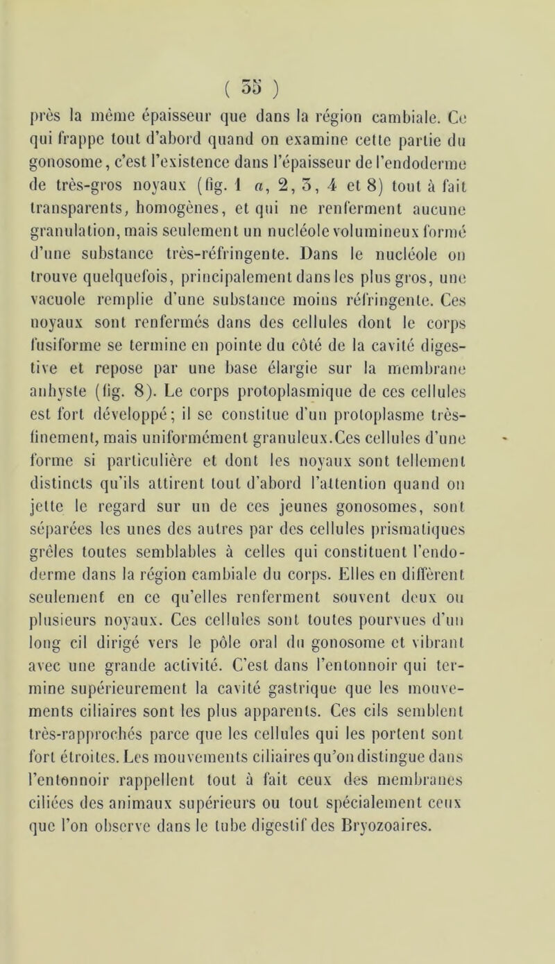 près la même épaisseur que dans la région cambiale. Ce qui frappe tout d’abord quand on examine celle partie du gonosome, c’est l’existence dans l’épaisseur de l’endoderme de très-gros noyaux (lîg. 1 o, 2, 5, 4 et 8) tout à fait transparents, homogènes, et qui ne renferment aucune granulation, mais seulement un nucléole volumineux formé d’une substance très-réfringente. Dans le nucléole on trouve quelquefois, principalement dans les plus gros, une vacuole remplie d’une substance moins réfringente. Ces noyaux sont renfermés dans des cellules dont le corps fusiforme se termine en pointe du côté de la cavité diges- tive et repose par une base élargie sur la membrane anhyste (lig. 8). Le corps protoplasmique de ces cellules est fort développé; il se constitue d’un protoplasme très- linement, mais uniformément granuleux.Ces cellules d’une forme si particulière et dont les noyaux sont tellement distincts qu’ils attirent tout d’abord l’attention quand on jette le regard sur un de ces jeunes gonosomes, sont séparées les unes des autres par des cellules prismatiques grêles toutes semblables à celles qui constituent l’endo- derme dans la région cambiale du corps. Elles en dilTèrenl seulement en ce qu’elles renferment souvent deux ou plusieurs noyaux. Ces cellules sont toutes pourvues d’un long cil dirigé vers le pôle oral du gonosome et vibrant avec une grande activité. C’est dans l’entonnoir qui ter- mine supérieurement la cavité gastrique que les mouve- ments ciliaires sont les plus apparents. Ces cils semblent lrès-rap[)rochés parce que les cellules qui les portent sont fort étroites. Les mouvements ciliaires qu’on distingue dans l’entonnoir rappellent tout à fait ceux des membranes ciliées des animaux supérieurs ou tout spécialement ceux que l’on observe dans le tube digestif des Bryozoaires.