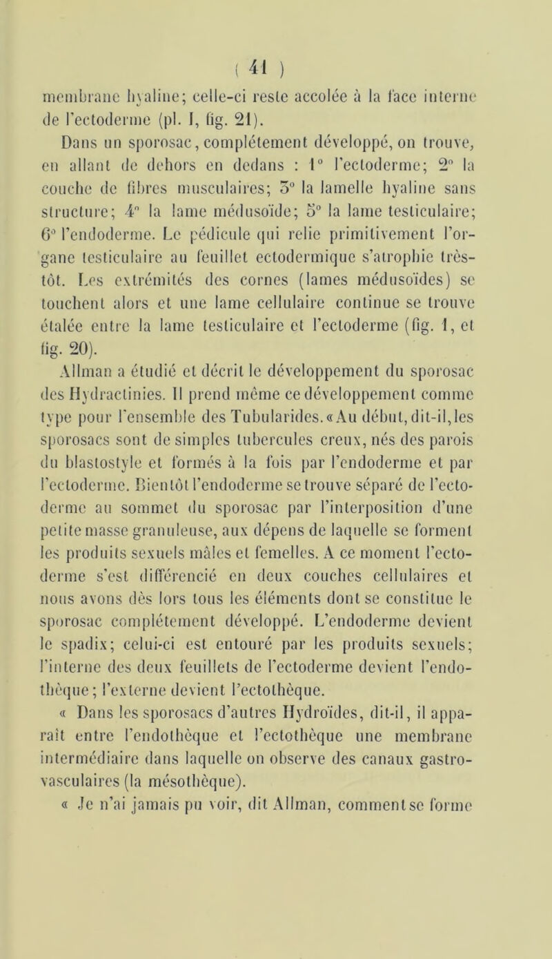 membrane liyaline; celle-ci reste accolée à la l'ace inteine (le rectoderme (pl. I, lig. 21). Dans lin siiorosac, complètement développé, on trouve, en allant de dehors en dedans : 1“ rectoderme; 2 la couche de libres musculaires; o la lamelle hyaline sans structure; i la lame méduso'ide; o la lame testiculaire; C” rendoderme. Le pédicule (|ui relie primitivement l’or- gane testiculaire au l'euillet ectodermique s’atrophie très- tôt. Les extrémités des cornes (lames médusoïdes) se touchent alors et une lame cellulaire continue se trouve étalée entre la lame testiculaire et l’ectoderme (fig. I,e( lig. 20). Allman a étudié et décrit le développement du sporosac des Hydractinies. Il pi end même ce développement comme type pour l'ensemble des Tubularidcs.«Au début,dit-il,les sporosacs sont de simples tubercules creux, nés des parois du blastostyle et formés à la lois par l’endoderme et par l’ectoderme. Dieu tôt l’endoderme se trouve séparé de l’ecto- derme au sommet du sporosac par l’interposition d’une petite masse granuleu.se, aux dépens de laquelle se forment les produits sexuels mâles et femelles. A ce moment l’ecto- derme s’est difféi‘encié en deux couches cellulaires et nous avons dès lors tous les éléments dont se constitue le sporosac complètement développé. L’endoderme devient le spadix; celui-ci est entouré par les produits sexuels; l'interne des deux feuillets de l’ectoderme devient l’endo- thèijue; l’externe devient l’ectothèque. « Dans les sporosacs d’autres Ilydroides, dit-il, il appa- raît entre l’eudothèque et l’ectothèque une memhrane intermédiaire dans laquelle on observe des canaux gastro- va.sculaires (la mésothèque). « .le n’ai jamais pu voir, dit Allman, comment se forme