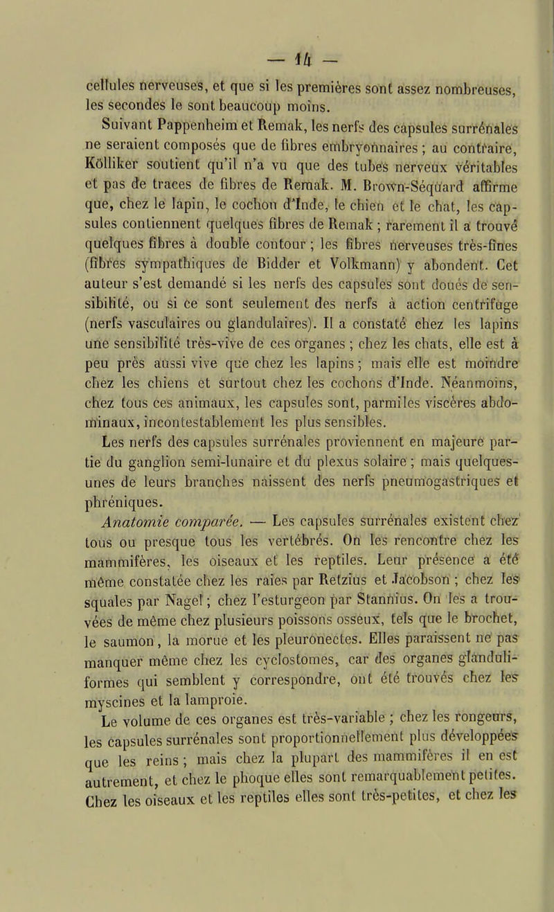 — ih ~ cellules nerveuses, et que si les premières sont assez nombreuses, les secondes le sont beaucoup moins. Suivant Pappenheim et Remak, les nerf? des capsules surrénales ne seraient composés que de fibres embryonnaires ; au conti^iire, Kôlliker soutient qu'il n'a vu que des tubes nerveux véritables et pas de traces de fibres de Remak. M. Brovvn-Séquard affirme que, chez le lapin, le cochon d'Inde, te chien et le chat, les cap- sules contiennent quelques fibres de Remak ; rarement il a trouvé quelques fibres à double contour ; les fibres rterveuses très-fînes (fîbfes sympathiques de Bidder et Volkmann) y abondent. Cet auteur s'est demandé si les nerfs des capsules sont doués de sen- sibiHlé, ou si Ce sont seulement des nerfs à action centrifuge (nerfs vasculaires ou glandulaires). Il a constaté chez les lapins une sensibilité très-vive de ces organes ; chez les chats, elle est à peu près aussi vive que chez les lapins ; mais elle est moindre chez les chiens et surtout chez les cochons d'Inde. Néanmoins, chez tous ces animaux, les capsules sont, parmiles viscères abdo- lïiinaux, incontestablement les plus sensibles. Les nerfs des capsules surrénales proviennent en majeure par- tie du ganglion semi-lunaire et du: plexus solaire ; mais quelques- unes de leurs branches naissent des nerfs pneumogastriques et phréniques. Anatomie comparée. — Les capsules surrénales existent chef tous ou presque tous les vertébrés. On les rencontre chez les mammifères, les oiseaux et les reptiles. Lear présence a été riiême constatée chez les raies par Retzius et .Ta'cobson ; chez léS squales par Nage! ; chez l'esturgeon par Stannius. On les a trou- vées de même chez plusieurs poissons osseux, tels que le brochet, le saumon, la morue et les pleurônectes. Elles paraissent ne pas manquer même chez les cyclostomes, car des organes glànduli- formes qui semblent y correspondre, ont été trouvés chez les myscines et la lamproie. Le volume de ces organes est très-variable ; chez les rongeurs, les capsules surrénales sont proportionnellement plus développées que les reins ; mais chez la plupart des mammifères il en est autrement, et chez le phoque elles sont remarquablement petites. Chez les oiseaux et les reptiles elles sont très-petites, et chez les