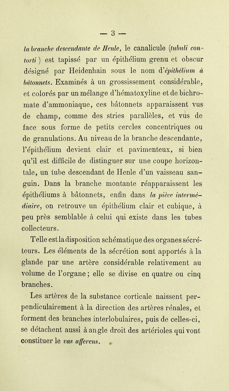 la branche descendante de Henle, le canalicule [lubuli con- torti ) est tapissé par un épithélium grenu et obscur désigné par Heidenhain sous le nom à'épilhéiium à bâtonnets. Examinés à un grossissement considérable, et colorés par un mélange d'iiématoxyline et de bicbro- mate d'ammoniaque, ces bâtonnets apparaissent vus de champ, comme des stries parallèles, et vus de face sous forme de petits cercles concentriques ou de granulations. Au niveau de la branche descendante, l'épithélium devient clair et pavimenteux, si bien qu'il est difficile de distinguer sur une coupe horizon- tale, un tube descendant de Henle d'un vaisseau san- guin. Dans la branche montante réapparaissent les épithéliums à bâtonnets, enfin dans la pièce intenné- diaire, on retrouve un épithéhum clair et cubique, à peu près semblable à celui qui existe dans les tubes collecteurs. Telle est la disposition schématique des organes sécré- teurs. Les éléments de la sécrétion sont apportés à la glande par une artère considérable relativement au volume de l'organe ; elle se divise en quatre ou cinq branches. Les artères de la substance corticale naissent per- pendiculairement à la direction des artères rénales, et forment des branches interlobulaires, puis de celles-ci, se détachent aussi à angle droit des artérioles qui vont constituer le vas afferens. ,