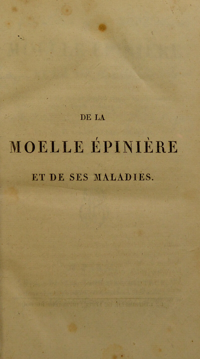 DE LA MOELLE ÉPINIÈRE ET DE SES MALADIES.