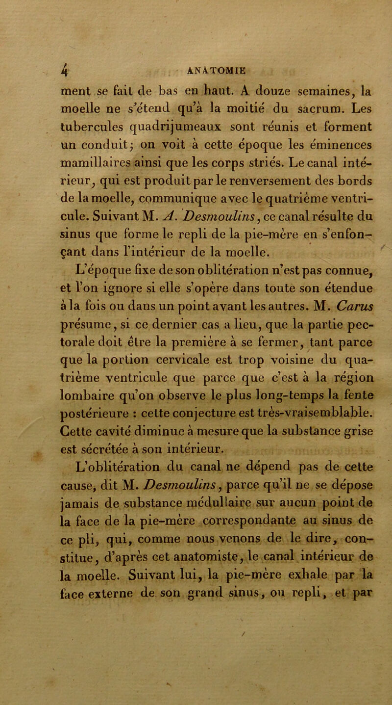 ment se fait de bas en haut. A douze semaines, la moelle ne s'étend qu’à la moitié du sacrum. Les tubercules quadrijumeaux sont réunis et forment un conduit; on voit à cette époque les éminences mamillaires ainsi que les corps striés. Le canal inté- rieur, qui est produit par le renversement des bords de la moelle, communique avec le quatrième ventri- cule. Suivant M. A. Desmoulins, ce canal résulte du sinus que forme le repli de la pie-mère en s’enfon- çant dans l’intérieur de la moelle. L’époque fixe de son oblitération n’est pas connue, et l’on ignore si elle s’opère dans toute son étendue à la fois ou dans un point avant les autres. M. Carus présume, si ce dernier cas a lieu, que la partie pec- torale doit être la première à se fermer, tant parce que la portion cervicale est trop voisine du qua- trième ventricule que parce que c’est à la région lombaire qu’on observe le plus long-temps la fente postérieure : celte conjecture est très-vraisemblable. Cette cavité diminue à mesure que la substance grise est sécrétée à son intérieur. L’oblitération du canal ne dépend pas de cette cause, dit M. Desmoulins, parce qu’il ne se dépose jamais de substance médullaire sur aucun point de la face de la pie-mère correspondante au sinus de ce pli, qui, comme nous venons de le dire, con- stitue, d’après cet anatomiste, le canal intérieur de la moelle. Suivant lui, la pie-mère exhale par la face externe de son grand sinus, ou repli, et par
