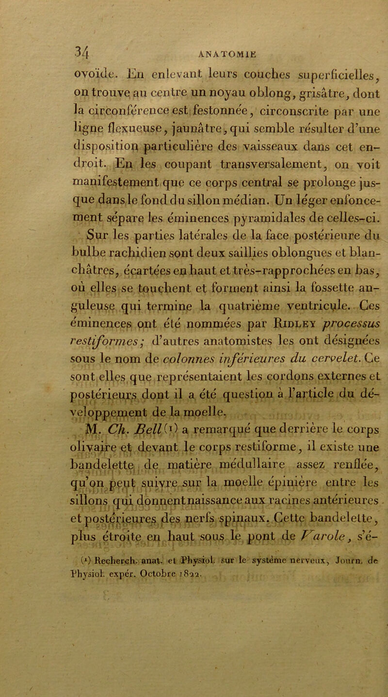 ovoïde. En enlevant leurs couches superficielles, on trouve au centre un noyau oblong, grisâtre, dont la circonférence est festonnée, circonscrite par une ligne flexueuse, jaunâtre, qui semble résulter d’une disposition particulière des vaisseaux dans cet en- droit. En les coupant transversalement, on voit manifestement que ce corps central se prolonge jus- que dans le fond du sillon médian. Un léger enfonce- ment sépare les éminences pyramidales de celles-ci. Sur les parties latérales de la face postérieure du bulbe rachidien sont deux saillies oblongues et blan- châtres, écartées en haut ettrès-rapprochées en bas, où elles se touchent et forment ainsi la fossette an- guleuse qui termine la quatrième ventricule. Ces éminences ont été nommées par Ridley processus r es tiformes ; d’autres anatomistes les ont désignées sous le nom de colonnes inférieures du cervelet. Ce sont elles que représentaient les cordons externes et postérieurs dont il a été question à l’article du dé- veloppement de la moelle. M. Ch. BellW a remarqué que derrière le corps olivaire et devant le corps restiforme, il existe une bandelette de matière médullaire assez renflée, qu’on peut suivre sur la moelle épinière entre les sillons qui donnentnaissanceaux racines antérieures et postérieures des nerfs spinaux. Cette bandelette, plus étroite en haut sous le pont de Varole, s’é- (*) Recherch. anat. et Physiot sur le système nerveux, Journ. de Physiol. expér. Octobre 1832.