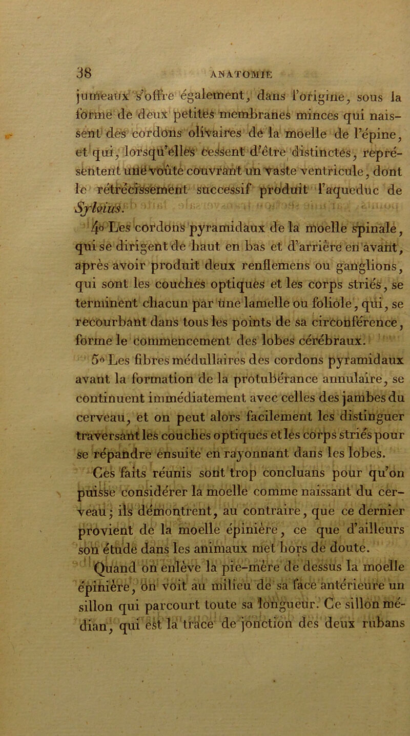 jumeaux s’offre également, dans l’origine, sous la forme de deux petites membranes minces qui nais- sent des cordons olivaires de la moelle de l’épine, et qui, lorsqu’elles cessent d’ètre distinctes, repré- sentent uné voûte couvrant un vaste ventricule, dont le rétrécissement successif produit l’aqueduc de Sylvius. 4° Les cordons pyramidaux de la moelle spinale, qui se dirigent de haut en bas et d’arrière en avant, après avoir produit deux renflemens ou ganglions, qui sont les couches optiques et les corps striés, se terminent chacun par Une lamelle ou foliole, qui, se recourbant dans tous les points de sa circonférence, forme le commencement des lobes cérébraux. 5° Les fibres médullaires des cordons pyramidaux avant la formation de la protubérance annulaire, se continuent immédiatement avec celles des jambes du cerveau, et on peut alors facilement les distinguer traversant les couches optiques et les corps striés pour se répandre ensuite en rayonnant dans les lobes. Ces faits réunis sont trop concluants pour qu’on puisse considérer la moelle comme naissant du cer- veau 3 ils démontrent, au contraire, que ce dernier provient de la moelle épinière, ce que d’ailleurs son étude dans les animaux met hors de doute. Quand on enlève la pie-mère de dessus la moelle épinière, on voit au milieu de sa lace antérieure un sillon qui parcourt toute sa longueur. Ce sillon mé- dian, qui est là trace de jonction des deux rubans