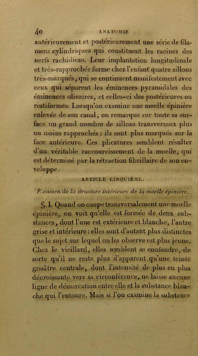 antérieurement et postérieurement une série de fila- mens cylindriques qui constituent les racines des nerfs rachidiens. Leur implantation longitudinale et très-rapprochée forme chez l’enfant quatre sillons très-marqués, qui se continuent manifestement avec ceux qui séparent les éminences pyramidales des éminences olivaires, et celles-ci des postérieures ou restiformes. Lorsqu’on examine une moelle épinière enlevée de son canal, on remarque sur toute sa sur- face un grand nombre de sillons transversaux plus ou moins rapprochés : ils sont plus marqués sur la face antérieure. Ces plicatures semblent résulter d’un véritable raccourcissement de la moelle, qui est déterminé par la rétraction fîbrillaire de son en- veloppe. ARTICLE CINQUIÈME. Examen de la structure intérieure de la moelle épinière. §.I. Quand on coupe transversalement une moelle épinière, on voit qu’elle est formée de deux sub- stances, dont l’une est extérieure et blanche, l’autre grise et intérieure : elles sont d’autant plus distinctes que le sujet sur lequel on les observe est plus jeune. Chez le vieillard, elles semblent se confondre, de sorte qu’il ne reste plus d’apparent qu’une teinte grisâtre centrale, dont l’intensité de plus en plus décroissante vers sa circonférence, ne laisse aucune ligne de démarcation entre elle et la substance blan- o cbe qui l’entoure. Mais si l’on examine la substance