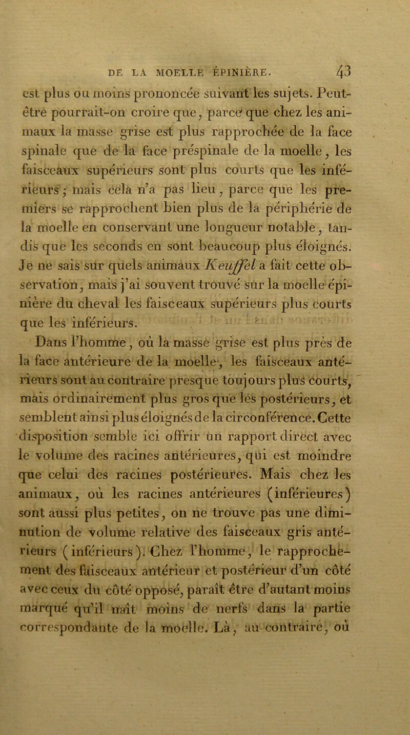 est plus ou moins prononcée suivant les sujets. Peut- être pourrait-on croire que, parce que chez les ani- maux la masse grise est plus rapprochée de la face spinale que de la face préspinale de la moelle, les faisceaux supérieurs sont plus courts que les infé- rieurs j mais cela n’a pas lieu, parce que les pre- miers se rapprochent bien plus de la périphérie de la moelle en conservant une longueur notable, tan- dis que les seconds en sont beaucoup plus éloignés, j e ne sais sür quels animaux Keujfel a fait cette ob- servation, mais j’ai souvent trouvé sur la moelle épi- nière du cheval les faisceaux supérieurs plus courts que les inférieurs. Dans l’homme, où la masse grise est plus près de la face antérieure de la moelle', les faisceaux anté- rieurs sont au contraire presque toujours plus courts, mais ordinairement plus gros que lés postérieurs, et semblent ainsi plus éloignés de la circonférence. Cette disposition semble ici offrir un rapport direct avec le volume des racines antérieures, qui est moindre que celui des racines postérieures. Mais chez les animaux, où les racines antérieures (inférieures) sont aussi plus petites, on ne trouve pas une dimi- nution de volume relative des faisceaux gris anté- rieurs (inférieurs). Chez l’homme, le rapproche- ment des faisceaux antérieur et postérieur d’un côté avec ceux du côté opposé, paraît être d’autant moins marqué qu’il naît moins de nerfs dans la partie correspondante de la moelle. Là, au contraire, où