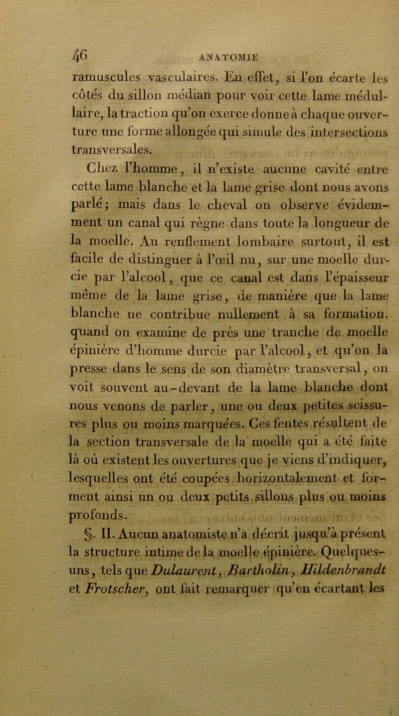 ramuscules vasculaires. En effet, si l’on écarte les côtés du sillon médian pour voir cette lame médul- laire, la traction qu’on exerce donne à chaque ouver- ture une forme allongée qui simule des intersections transversales. Chez, l’homme, il n’existe aucune cavité entre cette lame blanche et la lame grise dont nous avons parlé 'y mais dans le cheval on observe évidem- ment un canal qui règne dans toute la longueur de la moelle. Au renflement lombaire surtout, il est facile de distinguer à l’oeil nu, sur une moelle dur- cie par l’alcool, que ce canal est dans l’épaisseur même de la lame grise, de manière que la lame blanche ne contribue nullement à sa formation, quand on examine de près une tranche de moelle épinière d’homme durcie par l’alcool, et qu’on la presse dans le sens de son diamètre transversal, on voit souvent au-devant de la lame blanche dont nous venons de parler, une ou deux petites scissu- res plus ou moins marquées. Ces fentes résultent de la section transversale de la moelle qui a été faite là où existent les ouvertures que je viens d’indiquer, lesquelles ont été coupées horizontalement et for- ment ainsi un ou deux petits sillons plus ou moins profonds. §. II. Aucun anatomiste n’a décrit jusqu’à présent la structure intime de la moelle épinière. Quelques- uns, tels que Dulaurent, Bartholin, Hildenbrandt et Frotschei'y ont fait remarquer qu’en écartant les