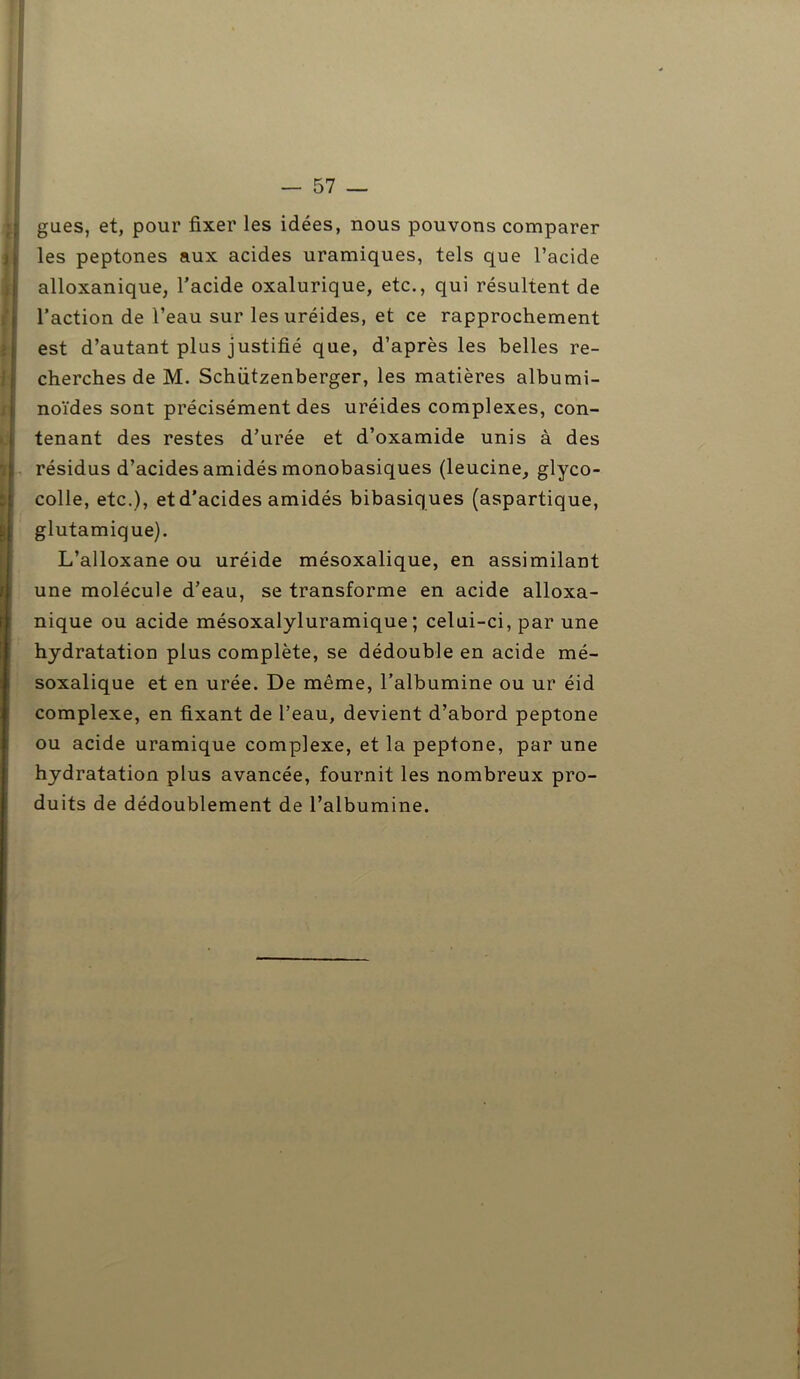 gués, et, pour fixer les idées, nous pouvons comparer les peptones aux acides uramiques, tels que l’acide alloxanique, l’acide oxalurique, etc., qui résultent de l’action de l’eau sur les uréides, et ce rapprochement est d’autant plus justifié que, d’après les belles re- cherches de M. Schützenberger, les matières albumi- noïdes sont précisément des uréides complexes, con- tenant des restes d’urée et d’oxamide unis à des résidus d’acides amidés monobasiques (leucine, glyco- colle, etc.), et d’acides amidés bibasiques (aspartique, glutamique). L’alloxane ou uréide mésoxalique, en assimilant une molécule d’eau, se transforme en acide alloxa- nique ou acide mésoxalyluramique ; celui-ci, par une hydratation plus complète, se dédouble en acide mé- soxalique et en urée. De même, l’albumine ou ur éid complexe, en fixant de l’eau, devient d’abord peptone ou acide uramique complexe, et la peptone, par une hydratation plus avancée, fournit les nombreux pro- duits de dédoublement de l’albumine.