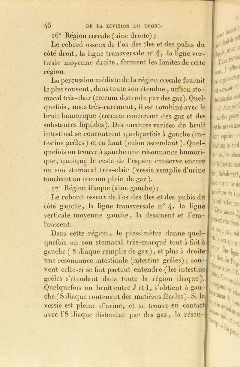 i6° Rég ion cœcale (aine droite) ; Le rebord osseux de l’os des îles et des pubis du côté droit, la ligne transversale n° 4> la ligne ver- ticale moyenne droite , forment les limites de cette région. La percussion médiate de la région cœcale fournit le plus souvent, dans toute son étendue , un'son sto- macal très-clair (cæcum distendu par des gaz). Quel- quefois , mais très-rarement, il est combiné avec le bruit humorique (cæcum contenant des gaz et des substances liquides). Des nuances variées du bruit intestinal se rencontrent quelquefois à gauche (in- testins grêles) et en haut (colon ascendant ). Quel- quefois on trouve à gauche une résonnance humori- que, quoique le reste de l’espace conserve encore un son stomacal très-clair (vessie remplie d’urine touchant au cæcum plein de gaz). iy° Région iliaque (aine gauche) ; Le rebord osseux de l’os des îles et des pubis du côté gauche, la ligne transversale n° ha ligne verticale moyenne gauche, la dessinent et l’em- brassent. Dans cette région , le plessimètre donne quel- quefois un son stomacal très-marqué tout-à-fait h gauche ( S iliaque remplie de gaz), et plus à droite une résonnance intestinale (intestins grêles) ; sou- vent celle-ci se fait partout entendre (les intestins grêles s’étendant dans toute la région iliaque). Quelquefois un bruit entre J et I, s’obtient à gau- chers iliaque contenant des matières fécales). Si la vessie est pleine d’urine, et se trouve en contact avec l’S iliaque distendue par des gaz , la réson-