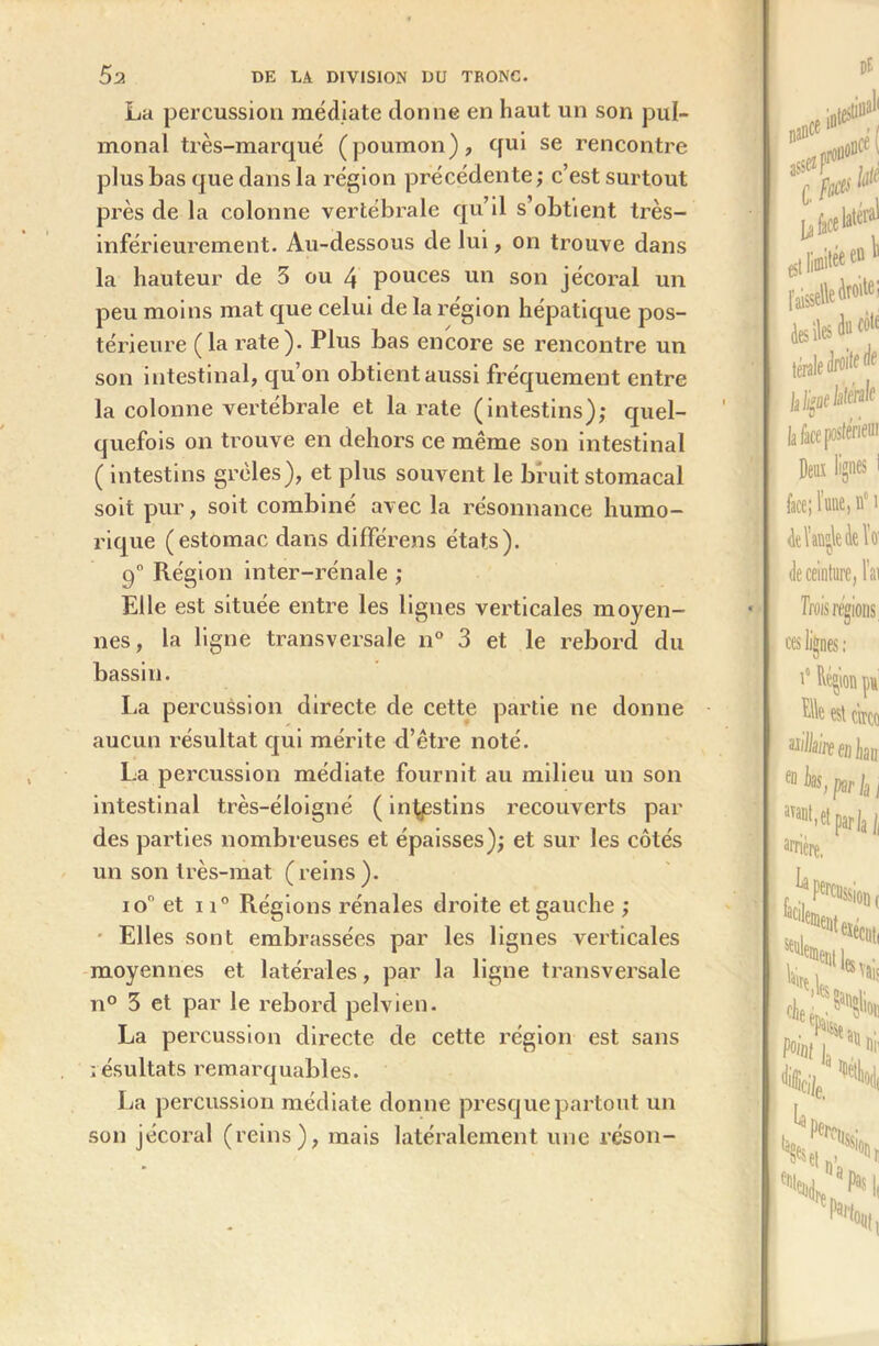 La percussion médiate donne en haut un son pul- monal très-marqué (poumon), qui se rencontre plus bas que clans la région précédente ; c’est surtout près de la colonne vertébrale qu’il s obtient très- inférieurement. Au-dessous de lui, on trouve dans la hauteur de 3 ou 4 pouces un son jécoral un peu moins mat que celui de la région hépatique pos- térieure (la rate). Plus bas encore se rencontre un son intestinal, qu’on obtient aussi fréquement entre la colonne vertébrale et la rate (intestins); quel- quefois on trouve en dehors ce même son intestinal ( intestins grêles), et plus souvent le bruit stomacal soit pur, soit combiné avec la résonnance humo- rique (estomac dans différens états). 90 Région inter-rénale ; Elle est située entre les lignes verticales moyen- nes, la ligne transversale n° 3 et le rebord du bassin. La percussion directe de cette partie ne donne aucun résultat qui mérite d’être noté. La percussion médiate fournit au milieu un son intestinal très-éloigné ( intestins recouverts par des parties nombreuses et épaisses); et sur les côtés un son très-mat (reins). io° et ii° Régions rénales droite et gauche ; Elles sont embrassées par les lignes verticales moyennes et latérales, par la ligne transversale n° 3 et par le rebord pelvien. La percussion directe de cette région est sans ; ésultats remarquables. La percussion médiate donne presque partout un son jécoral (reins), mais latéralement une réson-