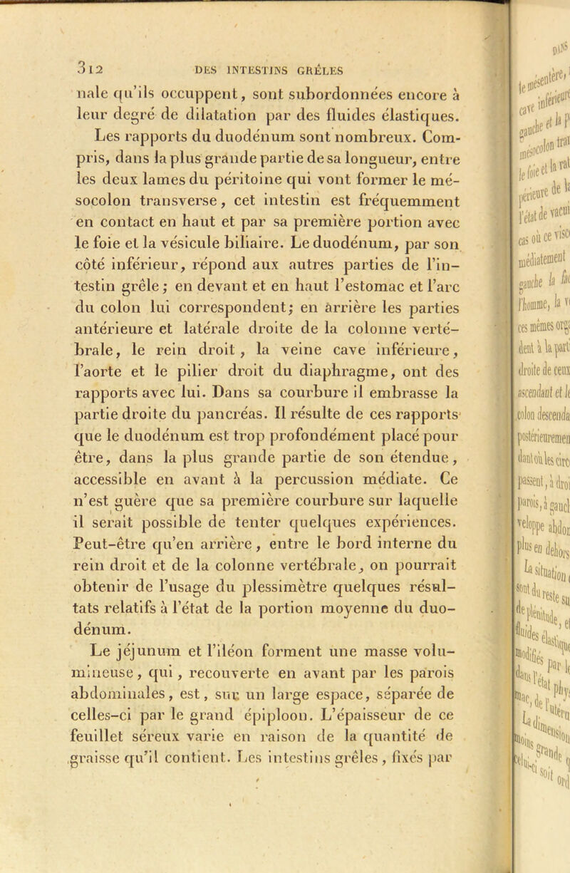 3 12 DES INTESTINS GRÊLES nale qu’ils occuppent, sont subordonnées encore à leur degré de dilatation par des fluides élastiques. Les rapports du duodénum sont nombreux. Com- pris, dans la plus grande partie de sa longueur, entre les deux lames du péritoine qui vont former le mé- socolon transverse, cet intestin est fréquemment en contact en haut et par sa première portion avec le foie et la vésicule biliaire. Le duodénum, par son côté inférieur, répond aux autres parties de l’in- testin grêle ; en devant et en haut l’estomac et l’arc du colon lui correspondent; en arrière les parties antérieure et latérale droite de la colonne verté- brale, le rein droit, la veine cave inférieure, l’aorte et le pilier droit du diaphragme, ont des rapports avec lui. Dans sa courbure il embrasse la partie droite du pancréas. Il résulte de ces rapports que le duodénum est trop profondément placé pour être, dans la plus grande partie de son étendue, accessible en avant i\ la percussion médiate. Ce n’est guère que sa première courbure sur laquelle il serait possible de tenter quelques expériences. Peut-être qu’en arrière, entre le bord interne du rein droit et de la colonne vertébrale, on pourrait obtenir de l’usage du plessimètre quelques résul- tats relatifs à l’état de la portion moyenne du duo- dénum. Le jéjunum et l’iléon forment une masse volu- mineuse, qui, recouverte en avant par les parois abdominales, est, sur. un large espace, séparée de celles-ci par le grand épiploon. L’épaisseur de ce feuillet séreux varie en raison de la quantité de graisse qu’il contient. Les intestins grêles, fixés par