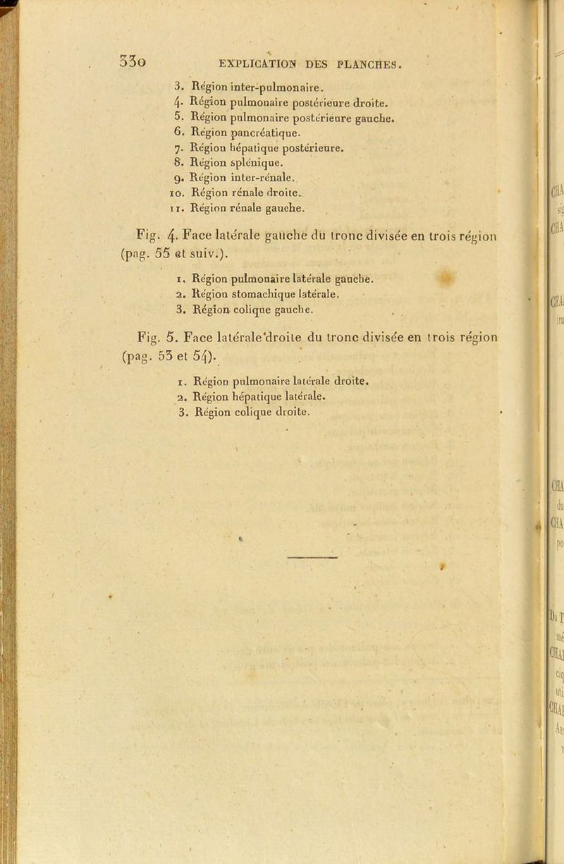 3. Région inter-pulmonaire. 4- Région pulmonaire postérieure droite. 5. Région pulmonaire postérieure gauclie. 6. Région pancréatique. 7. Région hépatique postérieure. 8. Région splénique. 9. Région inter-re'nale. 10. Région rénale droite. 11. Région rénale gauche. Fig. 4- Face latérale gauche du tronc divisée en trois région (pag. 55 et suiv.). 1. Région pulmonaire latérale gauche. 2. Région stomachique latérale. 3. Région colique gauche. Fig. 5. Face latérale‘droite du tronc divisée en trois région (pag. 53 et 54)- 1. Région pulmonaire latérale droite. 2. Région hépatique latérale. 3. Région colique droite.