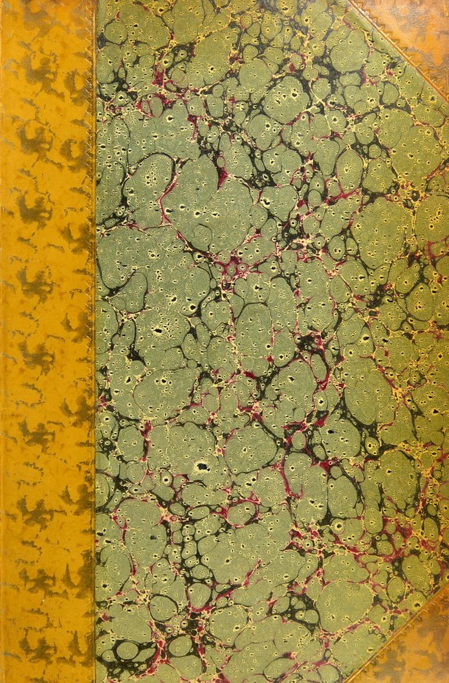 No text description is available for this image