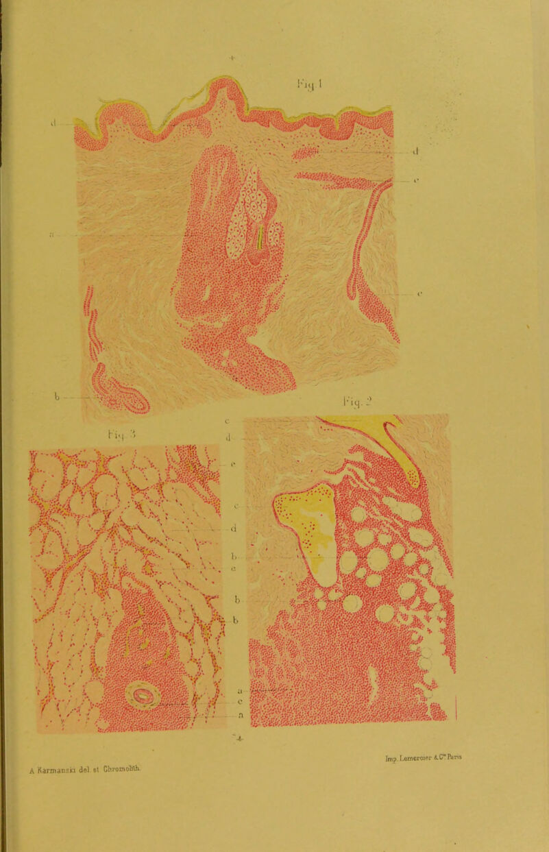 * A Karmanski del si Chromolilh. lmp. Lemcroior 4.C* Pa^s