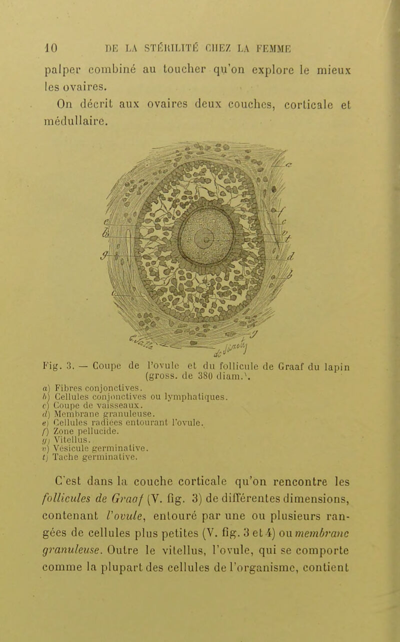 palper combiné au toucher qu'on explore le mieux les ovaires. On décrit aux ovaires deux couches, corticale et médullaire. Fig. 3. — Coupe de l'ovule et du follicule de Graaf du lapin (gross. de 380 diam.\ a) Fibres conjonctive^. ii) Cellules conj îtives ou lymphatiques. c) Coupe de vaisseaux. d) Membrane granuleuse. e) Cellules radiées entouranl l'ovule. /) Zone pellucide. y Vitellus. u) Vésicule germinative. tj Tache germinative. C'est dans la couche corticale qu'on rencontre les follicules de Graaf (V. fig. 3) de différentes dimensions, contenant l'ovule, entouré par une ou plusieurs ran- gées de cellules plus petites (V. fig. 3 et 4) ou membrane granuleuse. Outre le vitellus, l'ovule, qui se comporte comme la plupart des cellules de l'organisme, contient