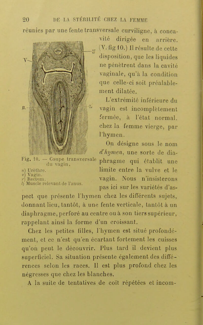 réunies par une fenle transversale curviligne, à conca- vité dirigée en arrière. (V.fig 10.) Il résulte de cette disposition, que les liquides ne pénètrent dans la cavité vaginale, qu'à la condition que celle-ci soit préalable- ment dilatée. L'extrémité inférieure du ' vagin est incomplètement fermée, à l'état normal, chez la femme vierge, par l'hymen. On désigne sous le nom d'hymen, une sorte de dia- du°vîgint!:anSYerSale Phra&me Qui établit une limite entre la vulve et le vagin. Nous n'insisterons pas ici sur les variétés d'as- pect que présente l'hymen chez les différents sujets, donnant lieu, tantôt, à une fente verticale, tantôt à un diaphragme, perforé au centre ou à son tiers supérieur, rappelant ainsi la forme d'un croissant. Chez les petites iilies, l'hymen est situé profondé- ment, et ce n'est qu'en écartant fortement les cuisses qu'on peut le découvrir. Plus tard il devient plus superficiel. Sa situation présente également des diffé- rences selon les races. Il est plus profond chez les négresses que chez les blanches. A la suite de tentatives de coït répétées et incom- Fig u) Urèthre. uj Vagin, r) Rect I) Muscle relevanl de l'anus