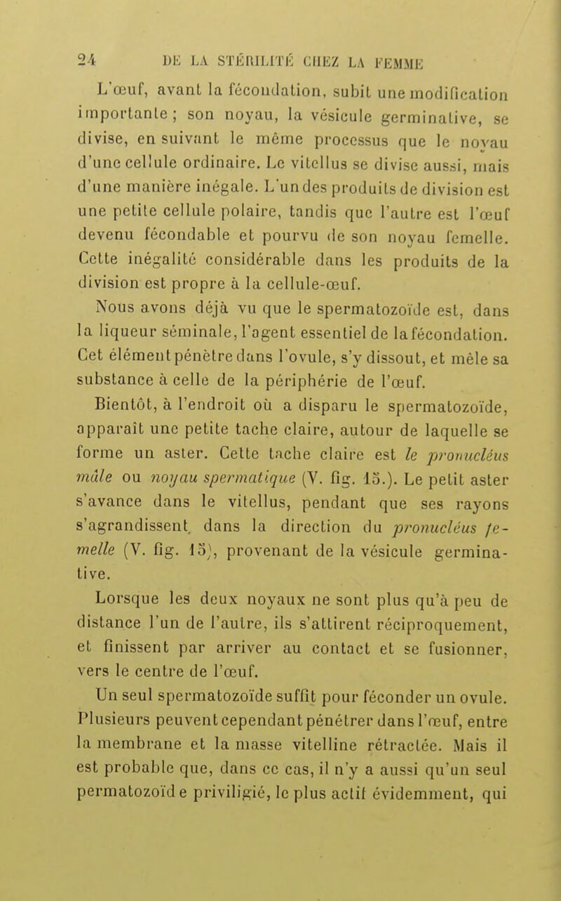 L'œuf, avant la fécondation, subit une modification importante; son noyau, la vésicule germinative, se divise, ensuivant le môme processus nue le novau d'une cellule ordinaire. Le vitellus se divise aussi, mais d'une manière inégale. L'un des produits de division est une petite cellule polaire, tandis que l'autre est l'œuf devenu fécondable et pourvu de son noyau femelle. Cette inégalité considérable dans les produits de la division est propre à la cellule-œuf. Nous avons déjà vu que le spermatozoïde est, dans la liqueur séminale, l'agent essentiel de la fécondation. Cet élément pénètre dans l'ovule, s'y dissout, et mêle sa substance à celle de la périphérie de l'œuf. Bientôt, à l'endroit où a disparu le spermatozoïde, apparaît une petite tache claire, autour de laquelle se forme un asier. Cette tache claire est le prouucléus mâle ou noyau spermatique (V. fig. 15.). Le petit aster s'avance dans le vitellus, pendant que ses rayons s'agrandissent, dans la direction du pronueléus fe- melle (V. fig. 15), provenant de la vésicule germina- tive. Lorsque les deux noyaux ne sont plus qu'à peu de distance l'un de l'autre, ils s'attirent réciproquement, et finissent par arriver au contact et se fusionner, vers le centre de l'œuf. Un seul spermatozoïde suffit pour féconder un ovule. Plusieurs peuvent cependant pénétrer dans l'œuf, entre la membrane et la masse vitelline rétractée. Mais il est probable que, dans ce cas, il n'y a aussi qu'un seul permatozoïde priviligié, le plus actif évidemment, qui