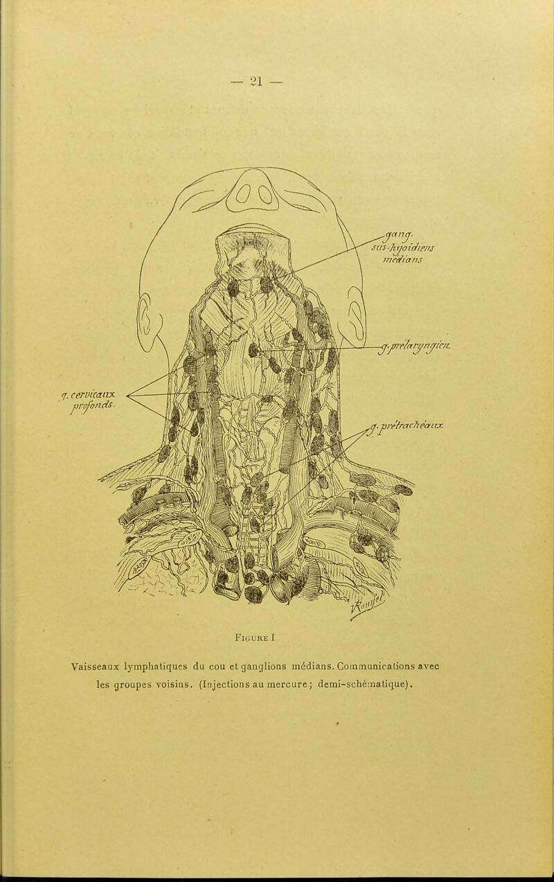 FlGURE I Vaisseaux lymphatiques du cou etganglions medians. Communications avec les groupes voisias. (Injections au mercure; demi-schematique).