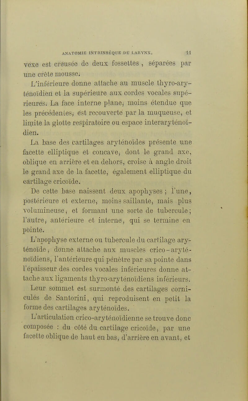 vexe est creusée de deux fossettes , séparées par une crête mousse. L'inférieure donne attache au muscle thyro-ary- ténoïdien et la supérieure aux cordes vocales supé- rieures. La face interne plane, moins étendue que les précédentes, est recouverte par la muqueuse, et limite la glotte respiratoire ou espace interaryténoï- dien. La base des cartilages aryténoïdes présente une facette elliptique et concave, dont le grand axe, oblique en arrière et en dehors, croise à angle droit le grand axe de la facette, également elliptique du cartilage cricoïde. De cette base naissent deux apophyses ; Tune, postérieure et externe, moins saillante, mais plus volumineuse, et formant une sorte de tubercule; l'autre, antérieure et interne, qui se termine en pointe. L'apophyse externe ou tubercule du cartilage ary- ténoïde, donne attache aux muscles crico-aryté- noïdiens, l'antérieure qui pénètre par sa pointe dans l'épaisseur des cordes vocales inférieures donne at- tache aux ligaments thyro-aryténoïdiens inférieurs. Leur sommet est surmonté des cartilages corni- culés de Santorini, qui reproduisent en petit la forme des cartilages aryténoïdes. L'articulation crico-aryténoïdienne se trouve donc composée : du côté du cartilage cricoïde, par une facette oblique de haut en bas, d'arrière en avant, et