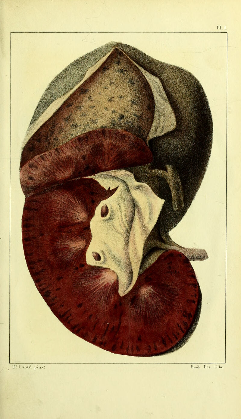 Emile IIp.iii lilliu D' lia oui pm\'.