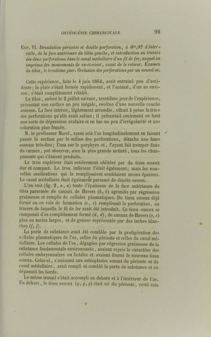 Exp. VI. Dénudation périostée et double perforation, ù 0m,l)2 d’inter- valle, de la face antérieure du tibia gauche, et introduction au travers des deux perforations dans le canal médullaire d'un fil de fer, auquel on imprima des mouvements de va-et-vient, avant de le retirer. Examen du tibia, le trentième jour. Occlusion des perforations par un nouvel os. Celte expérience, faite le 4 juin 1804, avait entraîné peu d’acci- dents; la plaie s’était fermée rapidement, et l’animal, d’un an envi- ron, s’était complètement rétabli. Le tibia, enlevé le 2 juillet suivant, trentième jour de l’expérience, présentait une surface un peu inégale, revêtue d’une nouvelle couche osseuse. La face interne, légèrement arrondie, offrait à peine la trace des perforations qu’elle avait subies; il présentait seulement en haut une sorte de dépression ovalaire et en bas un peu d’irrégularité et une coloration plus foncée. M. le prolesseur Morel, ayant scié l’os longitudinalement en faisant passer la section par le milieu des perforations, détacha une lame osseuse très-fine; l’usa sur le porphyre et, l’ayant fait tremper dans du carmin, put observer, avec la plus grande netteté, tous les chan- gements qui s’étaient produits. Le trou supérieur était entièrement oblitéré par du tissu osseux dur et compact. Le trou inférieur l’était également; mais les nou- velles ossifications qui la remplissaient semblaient moins épaisses. Le canal médullaire était égalemeilt parsemé de dépôts osseux. L’on voit(fig. 2, a, a) toute l’épaisseur de la face antérieure du tibia parsemée de canaux de Havers (b, b) agrandis par régression graisseuse et remplis de cellules plasmatiques. Du tissu osseux déjà formé ou en voie de formation (c, c) remplissait la perforation, au travers de laquelle le fil de fer avait été introduit. Ce tissu osseux se composait d’os complètement formé (d, d), de canaux de Havers (e, e) plus ou moins larges, et de graisse représentée par des taches blan- clies (f, f). La perte de substance avait été comblée par la proligéralion des cellules plasmatiques de l’os, celles du périoste et celles du canal mé- dullaire. Les cellules de l’os, dégagées par régresion graisseuse de la substance fondamentale environnante, avaient repris le caractère des cellules embryonnaires ou fœtales et avaient fourni le nouveau tissu osseux. Celui-ci, s’unissant aux ostéoplastes venant du périoste et du canal médullaire , avait rempli et comblé la perte de substance et en dépassait les bords. Le même travail s’était accompli en dehors et à l’intérieur de l’os. En dehors, le tissu osseux (g, g, g) était né du périoste, resté sain