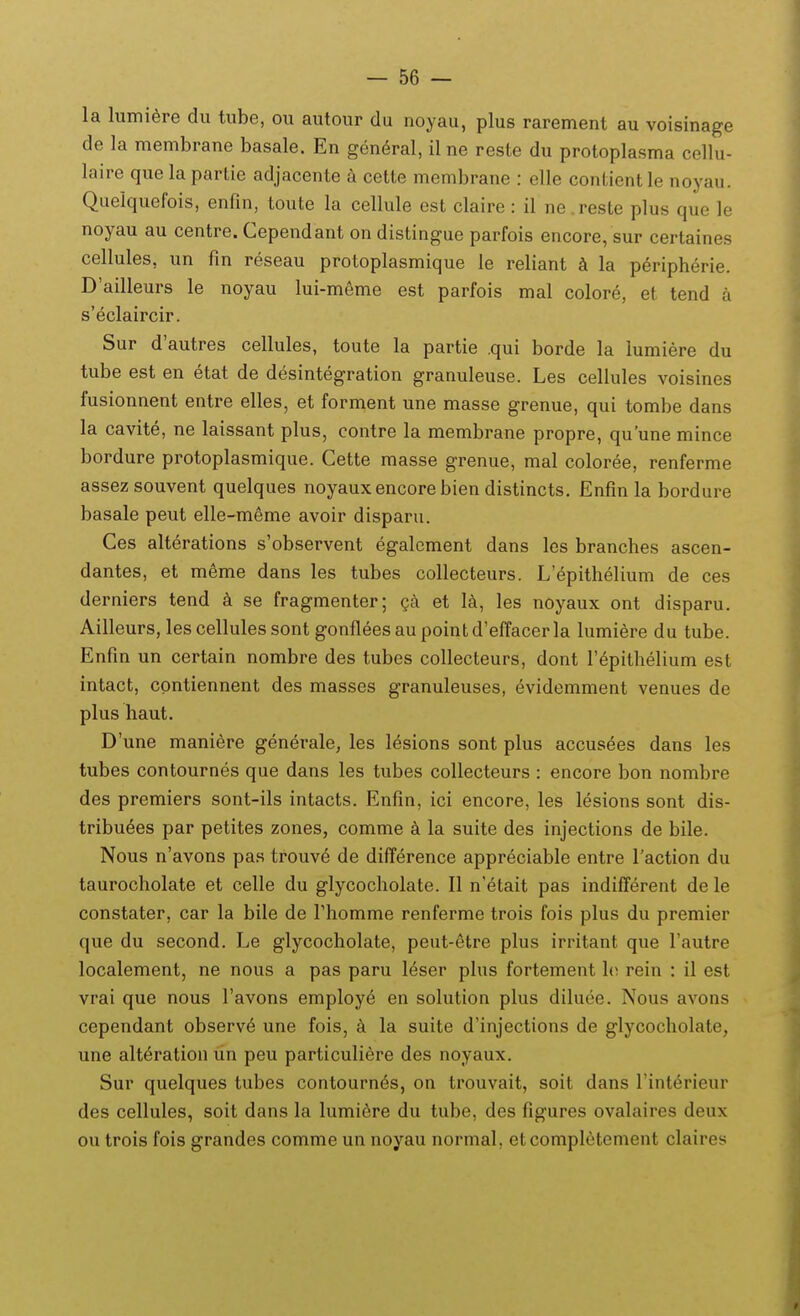 la lumi^re du tube, ou autour du noyau, plus rarement au voisinage de la membrane basale. En gen^ral, il ne reste du protoplasma cellu- laire que la partie adjacente a cette membrane : elle contient le noyau. Queiquefois, enfin, toute la cellule est claire : il ne.reste plus que le noyau au centre. Cependant on distingue parfois encore, sur certaines cellules, un fm reseau protoplasmique ie reiiant k ia peripherie. D'aiileurs ie noyau iui-meme est parfois mai colore, et tend a s'eciaircir. Sur d'autres ceiiuies, toute ia partie qui borde ia iumiere du tube est en etat de desintegration granuleuse. Les ceiluies voisines fusionnent entre eiies, et forment une masse grenue, qui tombe dans ia cavite, ne iaissant pius, contre la membrane propre, quune mince bordure protoplasmique. Cette masse grenue, mai coioree, renferme assez souvent queiques noyauxencorebien distincts. Enfin la bordure basaie peut eile-meme avoir disparu. Ces aiterations s'observent egalcment dans ics branches ascen- dantes, et meme dans ies tubes coilecteurs. L'epithelium de ces derniers tend k se fragmenter; ga et l^, ies noyaux ont disparu. Aiiieurs, iesceiiuiessont gonfleesaupointd'effaceria iumiere du tube. Enfin un certain nombre des tubes collecteurs, dont repithelium est intact, cpntiennent des masses granuleuses, evidemment venues de plus haut. D'une maniere generaie, les l^sions sont plus accusees dans les tubes contournes que dans ies tubes coiiecteurs : encore bon nombre des premiers sont-ils intacts. Enfin, ici encore, ies iesions sont dis- tribuees par petites zones, comme ia suite des injections de bile. Nous n'avons pas trouv6 de difference appreciabie entre Taction du taurochoiate et celie du giycochoiate. 11 n'etait pas indifferent de ie constater, car ia biie de i^iiomme renferme trois fois pius du premier que du second. Le giycociioiate, peut-etre pius irritant que Tautre iocaiement, ne nous a pas paru ieser pius fortement Iv. rein : il est vrai que nous i'avons employe en solution pius diiuee. Nous avons cependant observ^ une fois, ia suite d'injections de glycociioiate, une ait6ration un peu particuliere des noyaux. Sur quelques tubes contourn6s, on trouvait, soit dans i'int6rieur des ceiiuies, soit dans ia iumidre du tube, des figures ovalaires deux ou trois fois grandes comme un noyau normai, etcompletement claires