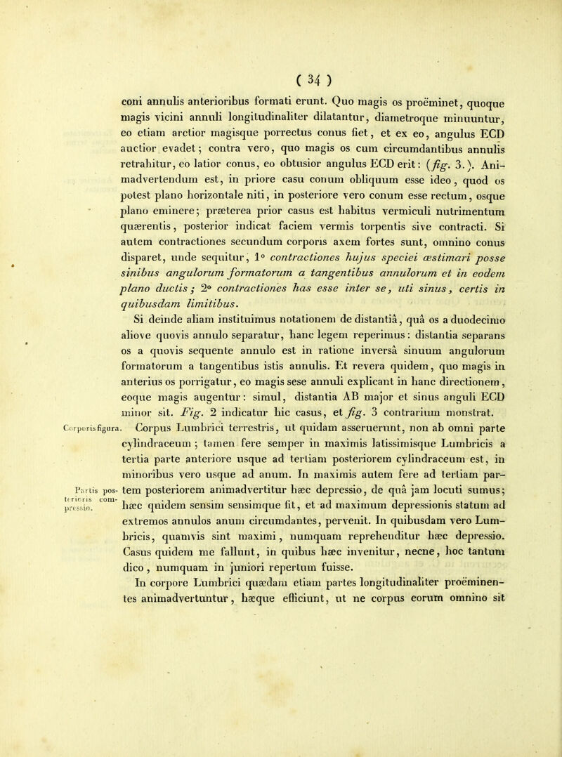 coni annulis anterioribus formati erunt. Quo magis os proeminet, quoque magis vicini anmili longitudinaliter dilatantur, diametroque minuuntur, eo etiam arctior magisque porrectus conus fiet, et ex eo, angulus ECD auctior evadet; contra vero, quo magis os cum circumdantibus annulis retrabitur, eo latior conus, eo obtusior angulus ECD erit: {fig, 3.). Ani-^ madvertendum est, in priore casu conum obliquum esse ideo, quod os potest plano horizontale niti, in posteriore vero conum esse rectum, osque plano eminere; prseterea prior casus est habitus vermicuH nutrimentum queerentis, posterior indicat faciem vermis torpentis sive contracti. Si autem contractiones secundum corporis axem fortes sunt, omnino conus disparet, unde sequitur, 1° contractiones hujus speciei cBstimari posse sinibus angulorum formatorum a tangentibus annulorum et in eodem plano ductis; 2* contractiones has esse inter se, uti sinus, certis i?z quibusdam limitibus. Si deiride aliam instituimus notationem dedistantia, qua os a duodecinio ahove quovis annulo separatur, hanc legem reperimus: distantia separans os a quovis sequente annulo est in ratione inversa sinuum angulorum formatorum a tangentibus istis annuHs. Et revera quidem, quo magis in anterius os porrigatur, eo magis sese aunuli exphcant in hanc directionem, eoque magis augentur: simul, distantia AB major et sinus anguH ECD minor sit. Fig. 2 indicatur hic casus, et jig. 3 contrariiun nionstrat. Coiporisfigura. Corpus Lumbrici terrestris, ut quidam asseruernnt, non ab omni parte cyhndraceum \ tamen fere semper in maximis latissimisque Lumbricis a tertia parte anteriore usque ad terliam posteriorem cyhndraceum est, in minoribus vero usque ad anum. In maximis autem fere ad tertiam par- P;n tis pos- tem posteriorem animadvertitur hsec depressio, de qua jam locuti sumus; pressio. haec quidem sensim sensimque fit, et ad maximum depressionis statum ad extremos annulos anum circumdantes, pervenit. In quibusdam vero Lum- bricis, quamvis sint maximi, numquam reprehenditur hasc depressio. Casus quidem me faUunt, in quibus hsec invenitur, necne, hoc tantum dico , numquam in juniori reperlum fuisse. In corpore Lumbrici qusedam eliam partes longitudinahter proeminen- tes animadvertuntur, hseque efficiunt, ut ne corpus eorum omnino sit