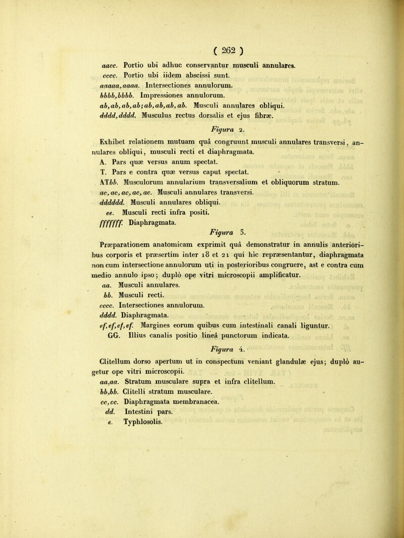 aacc. Portio ubi adhuc conservantur musculi annulares. ccce. Portio ubi iidem abscissi sunt. aaaaa,aaaa. Intersectiones annulorum. hhhb,bbhh. Impressiones annulorum. ah,ab,ab,ab;ab,ab,ab,ah. Musculi annulares obliqui. dddd,dddd, Musculus rectus dorsalis et ejus fibrse. Figura 2. Exhibet relationem mutuam qua congruunt musculi annulares transversi, an- nulares obliqui, musculi recti et diaphragmata. A. Pars quse versus anum spectat. T. Pars e contra quse versus caput spectat. ATi/>. Musculorum annularium transversalium et obliquorum stratum. ac, ac, ac, ac, ac. Musculi annulares transversi. dddddd. Musculi annulares obliqui. ee. Musculi recti infra positi. fffffff. Diaphragmata. Figura 3. Prseparationem anatomicam exprimit qua demonstratur in annulis anteriori- bus corporis et prsesertim inter 18 et 21 qui hic reprsesentantur, diaphragmata noncum intersectione annulorum uti in posterioribus congruere, ast e contra cum medio annulo ipso; duplo ope vitri microscopii amplificatur. aa. Musculi annularos. hb. Musculi recti. cccc. Intersectiones annulorum. dddd. Diaphragmata. ef,ef,ef,ef. Margines eorum quibus cum intestinali canali liguntur. GG. Illius canalis positio linea punctorum indicata. Figura 4. Clitellum dorso apertum ut in conspectum veniant glandulse ejus; duplo au- getur ope vitri microscopii. aa^aa. Stratum musculare supra et infra clitellum. bb,hb. Clitelli stratum musculare. cc,cc. Diaphragmata membranacea. dd. Intestini pars. e. Typhlosolis.